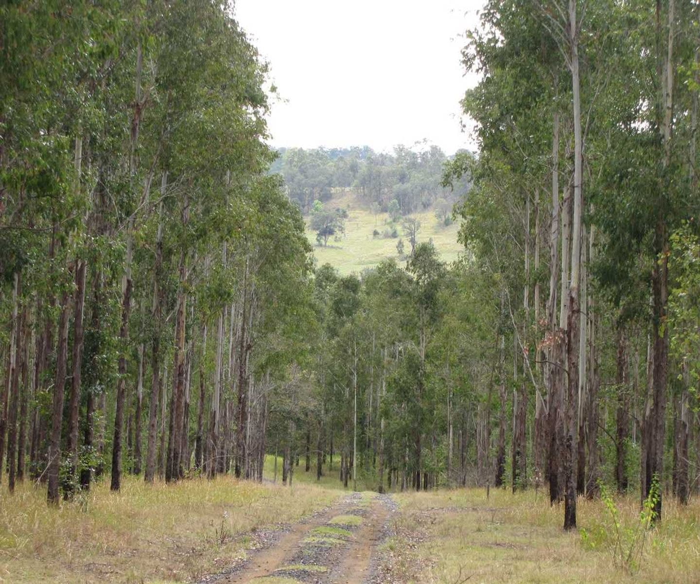 Jabri Sextonville Road, Sextonville - Thumbnail 4
