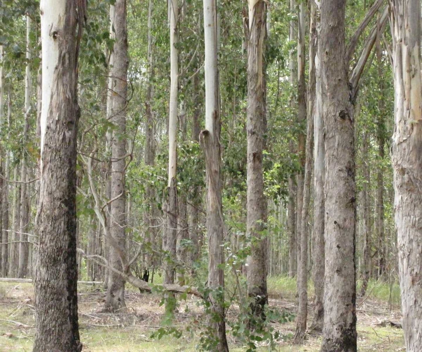 Jabri Sextonville Road, Sextonville - Thumbnail 5