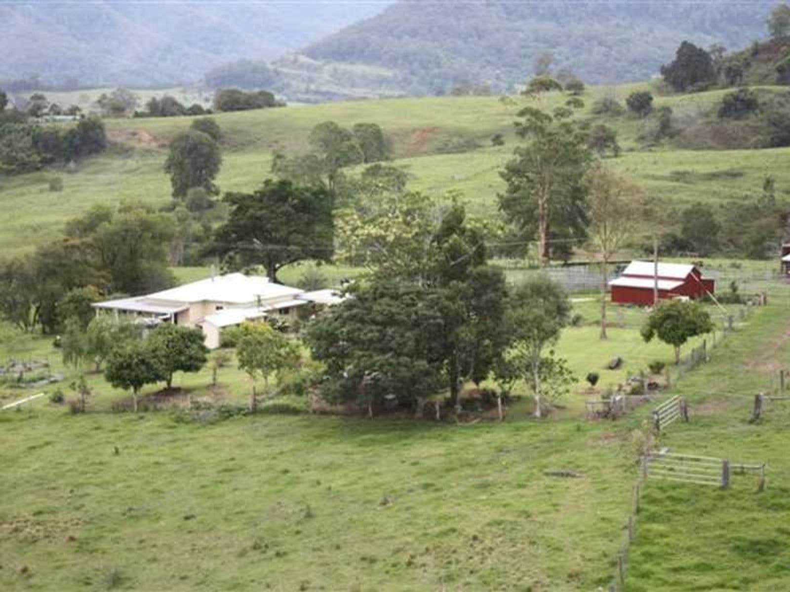 99 Anderson Road, Nimbin - Thumbnail 6