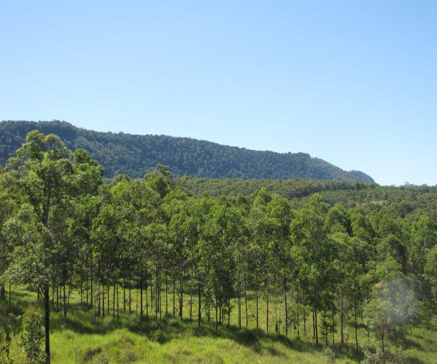 Amos Haystack Road, Haystack - Thumbnail 4