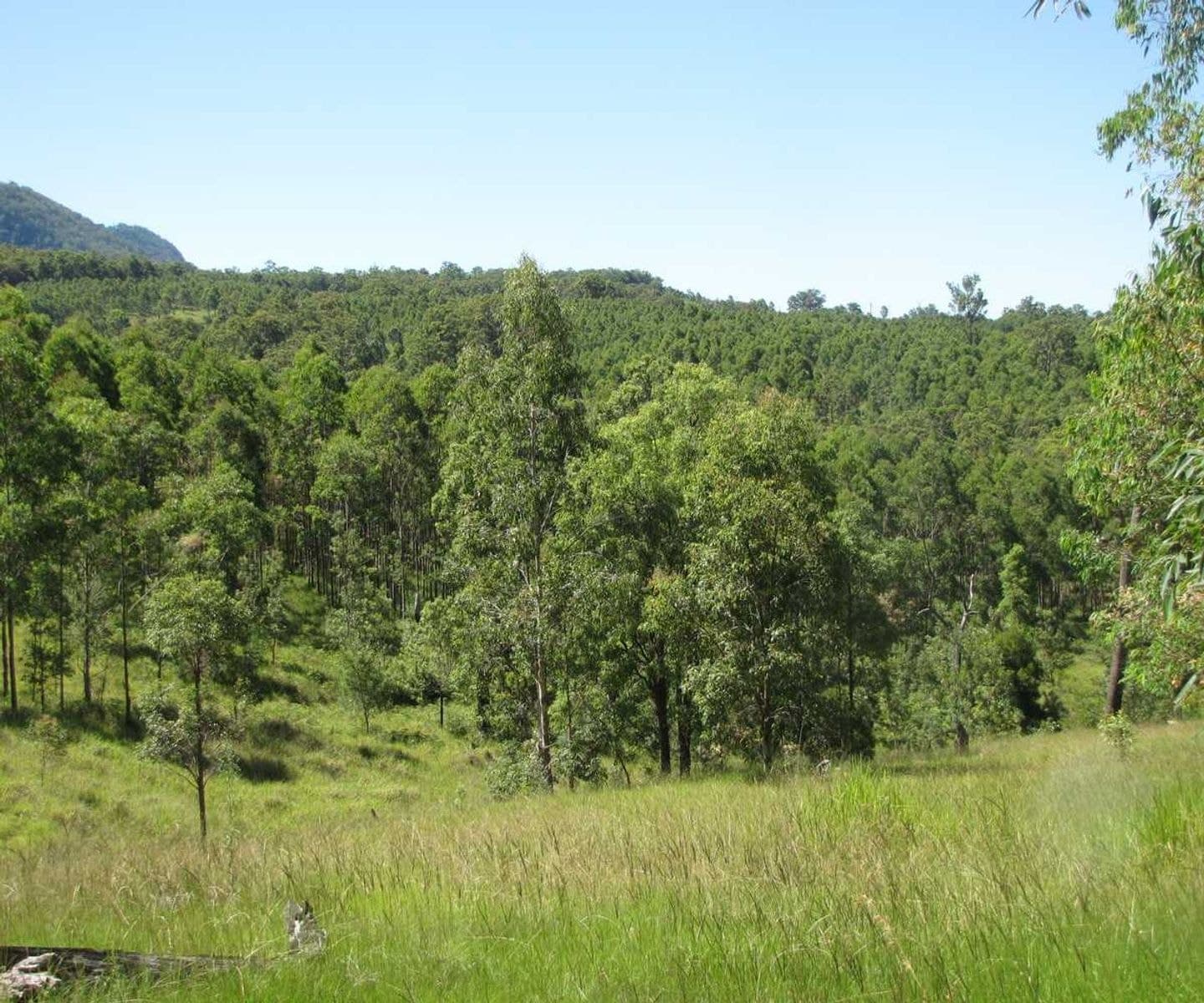 Amos Haystack Road, Haystack - Thumbnail 6