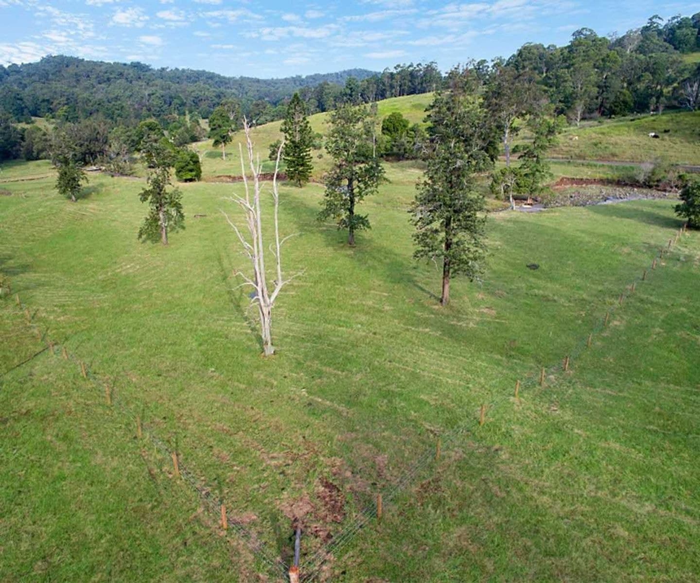 Lot 13 Lot 13 Grimston Road, Theresa Creek - Thumbnail 7