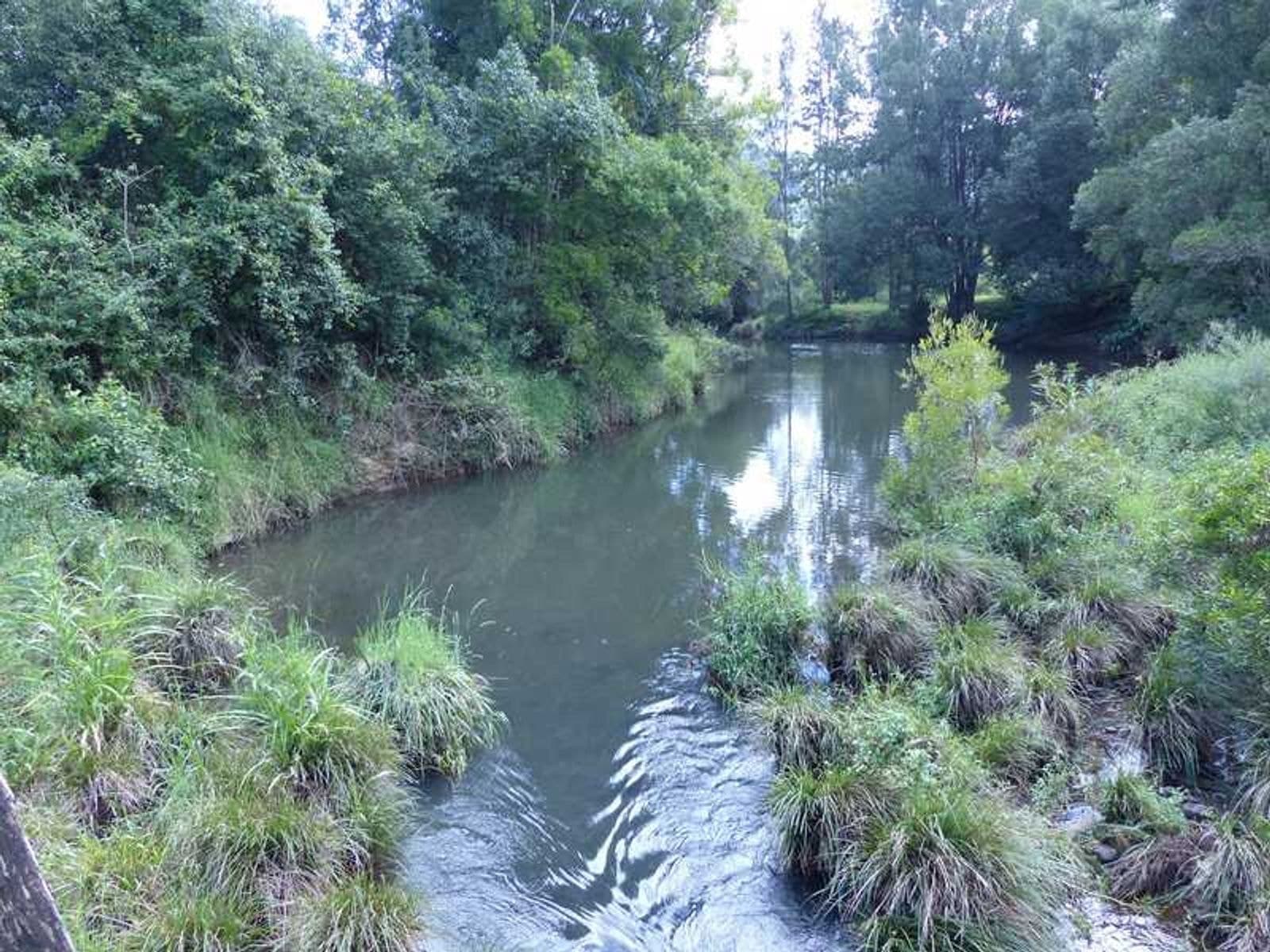 17 Town Road Terania Creek, The Channon - Thumbnail 7