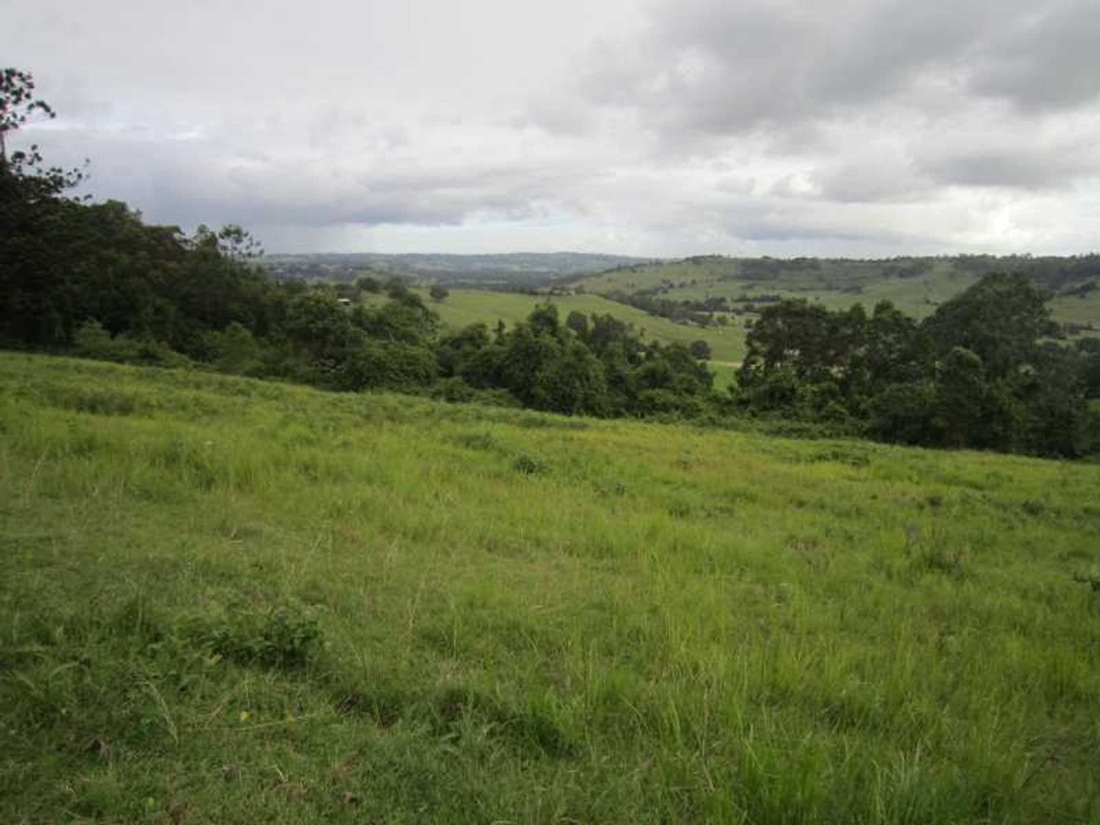 191 Duncan Road, Numulgi - Thumbnail 5