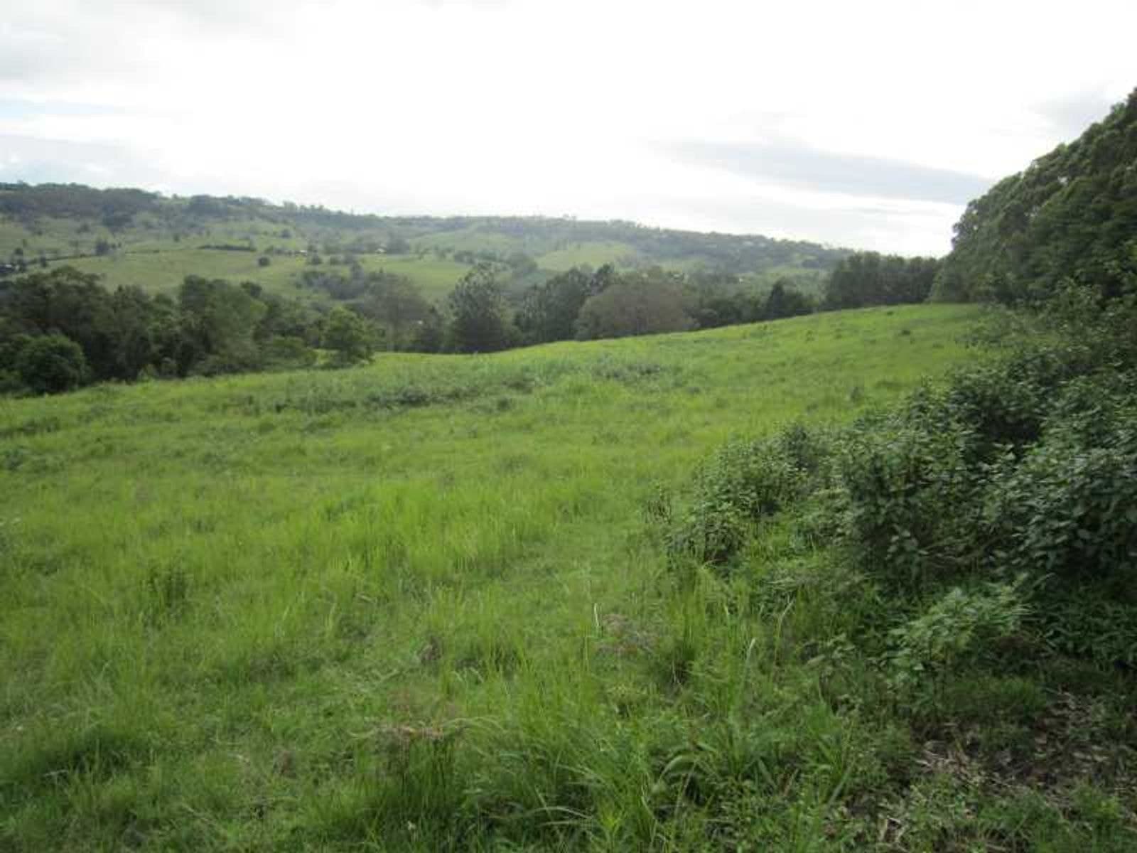 191 Duncan Road, Numulgi - Thumbnail 6