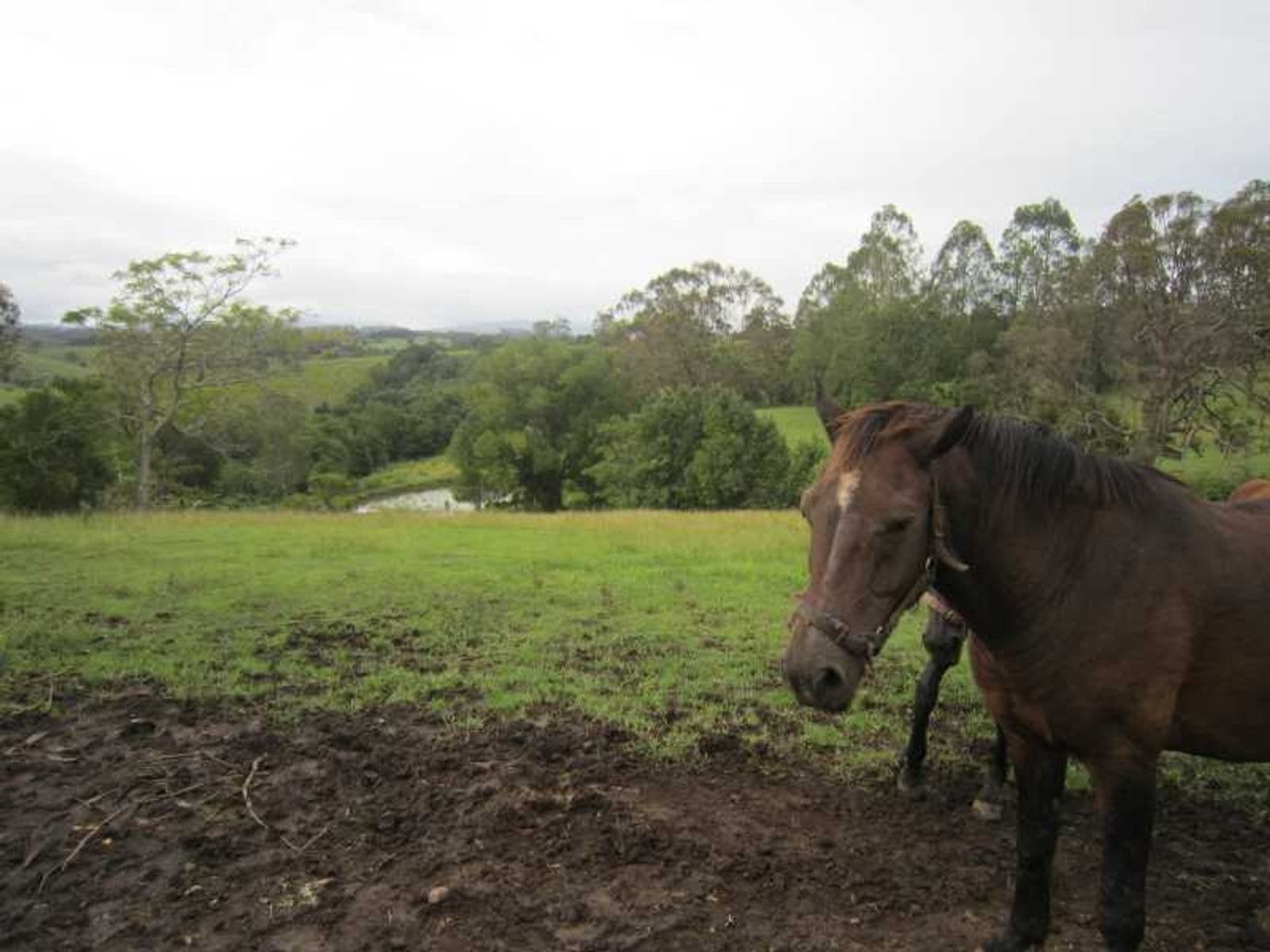 191 Duncan Road, Numulgi - Thumbnail 7