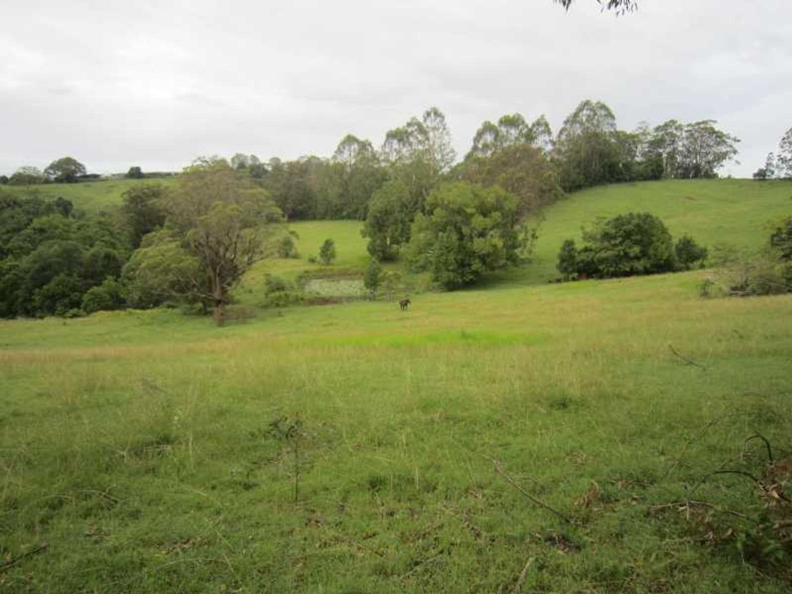 191 Duncan Road, Numulgi - Thumbnail 8