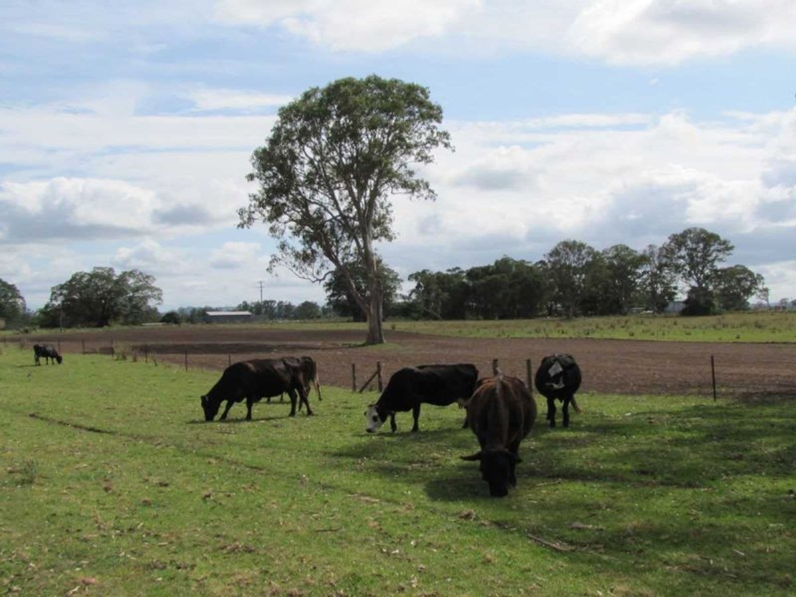 870 Tomki-Tatham Rd, Tatham - Thumbnail 4