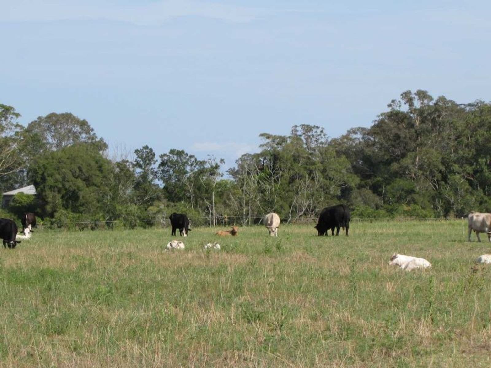 870 Tomki-Tatham Rd, Tatham - Thumbnail 5