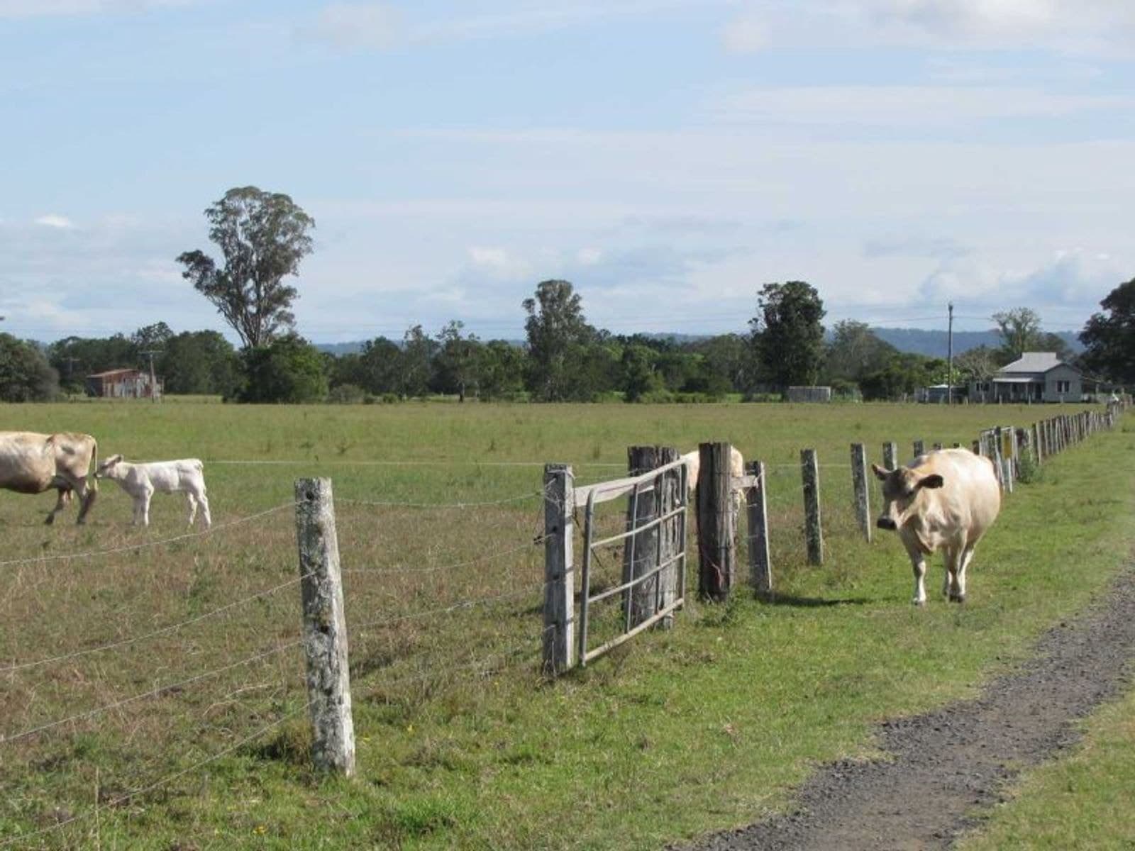 870 Tomki-Tatham Rd, Tatham - Thumbnail 7
