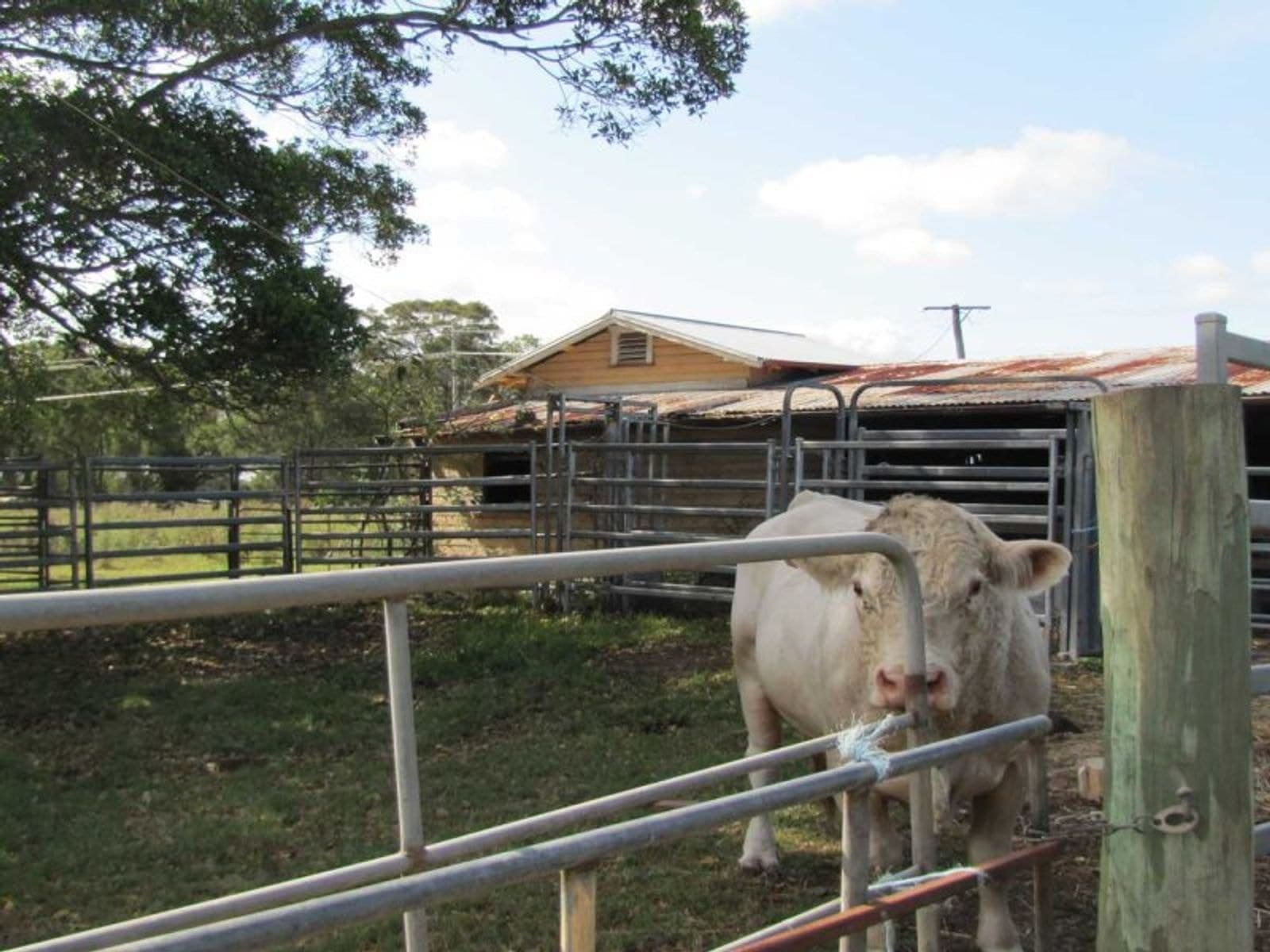 870 Tomki-Tatham Rd, Tatham - Thumbnail 8