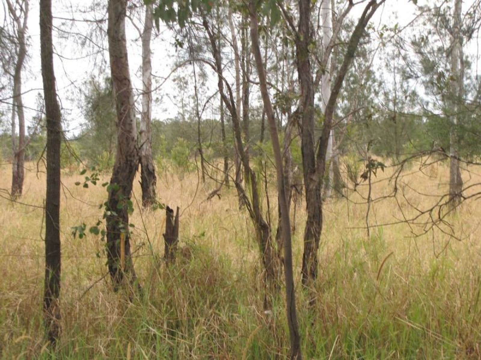 1110 Bungawalbin - Whiporie Road, Bungawalbin - Thumbnail 5