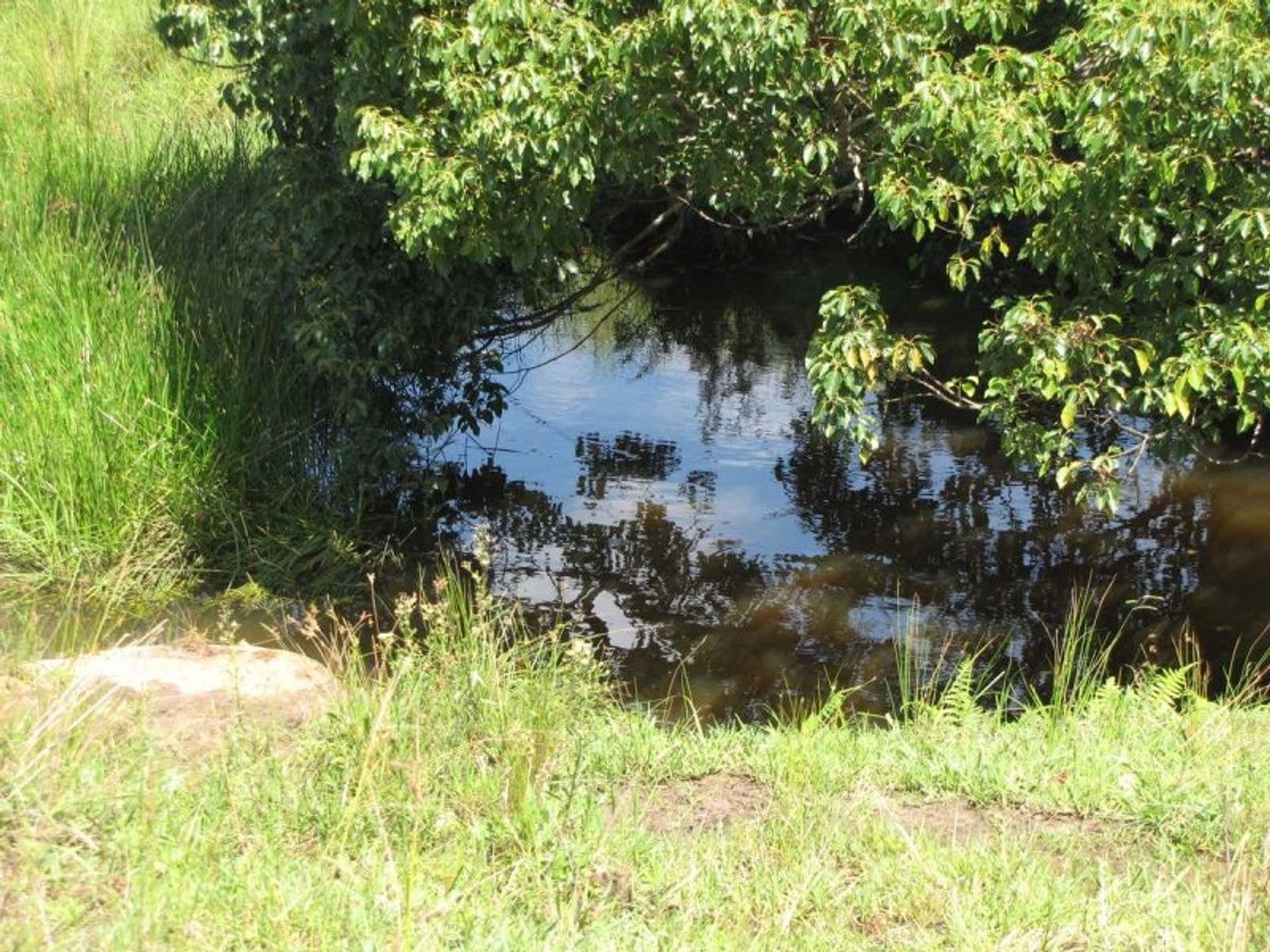 975 Dyraaba Rd, Dyraaba - Thumbnail 4