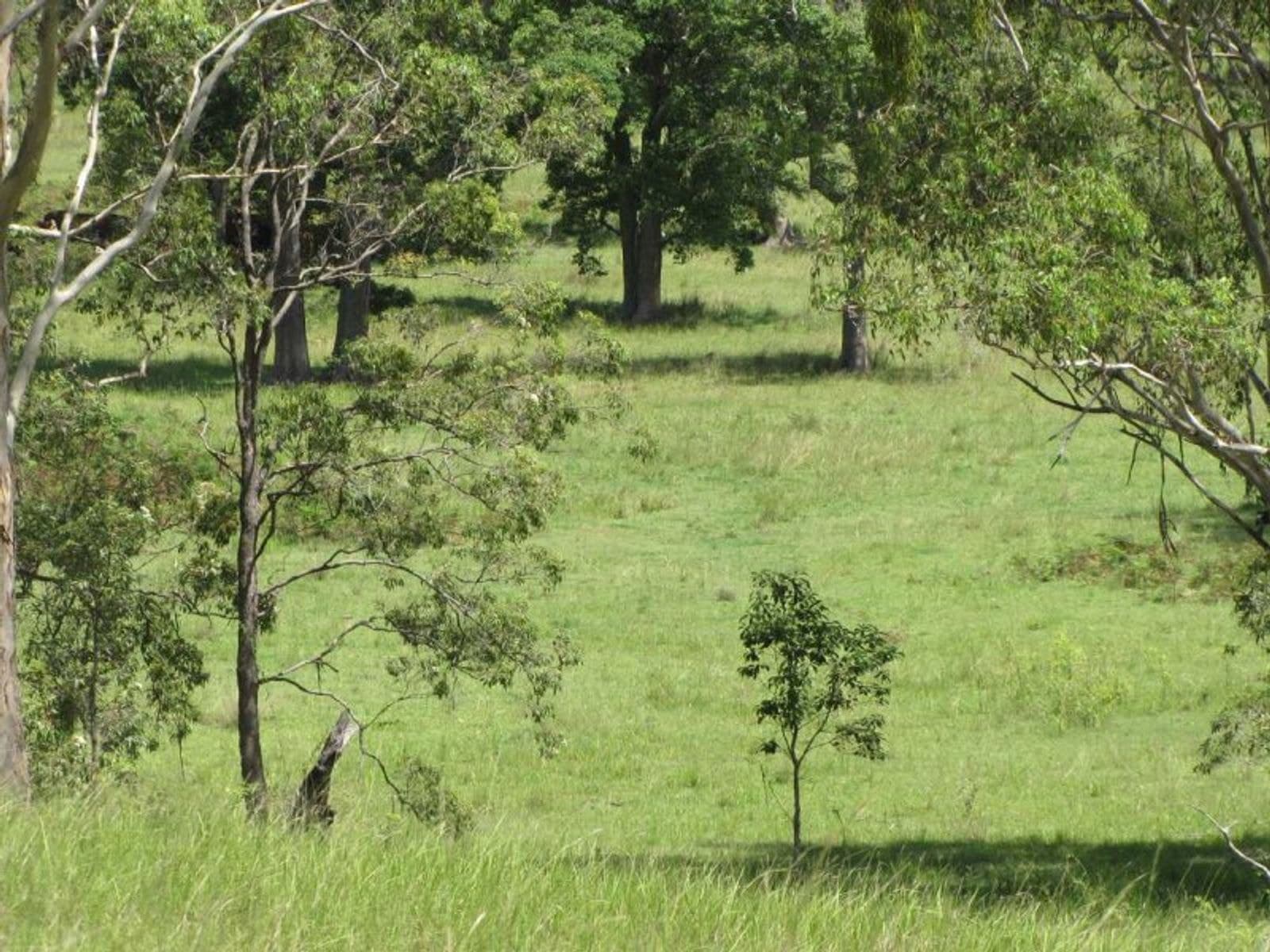 975 Dyraaba Rd, Dyraaba - Thumbnail 6