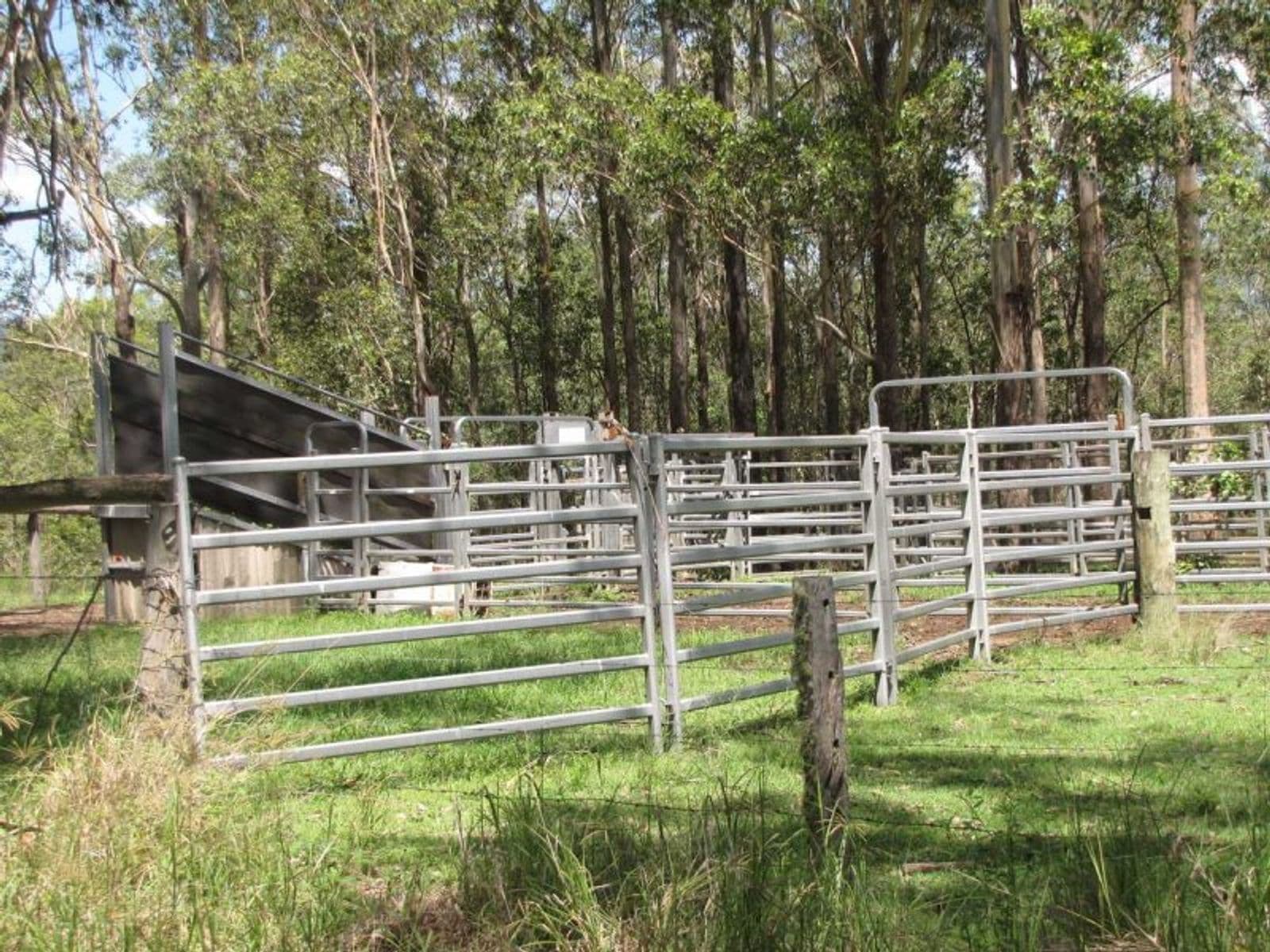 975 Dyraaba Rd, Dyraaba - Thumbnail 8