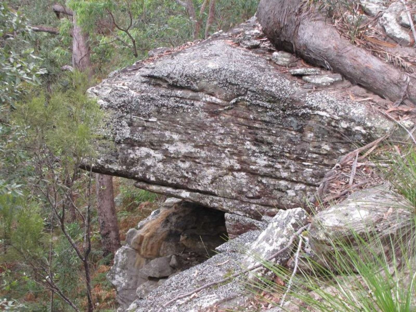 Busbys Flat Rd NSW 2469, Busbys Flat Rd - Thumbnail 4