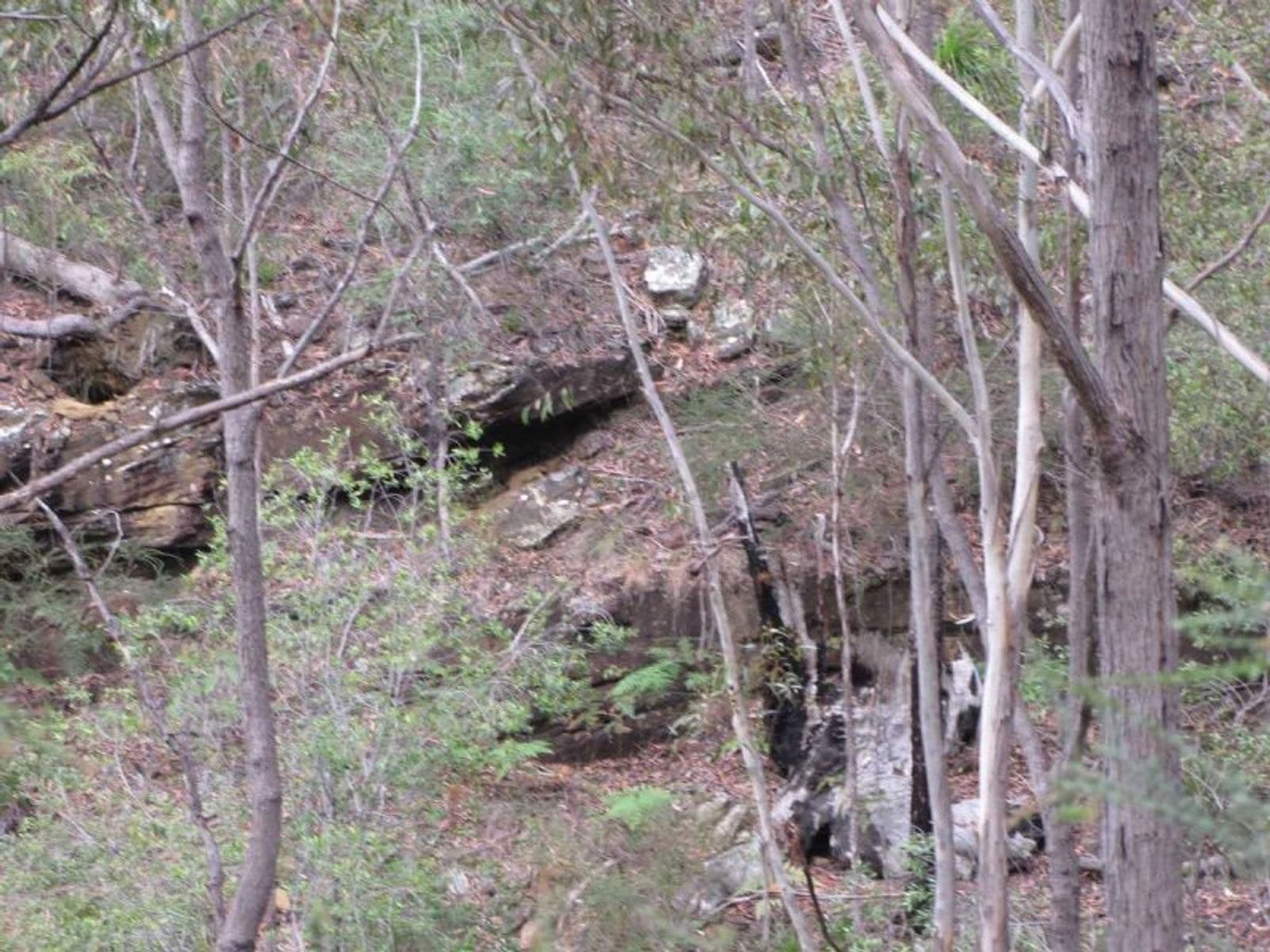 Busbys Flat Rd NSW 2469, Busbys Flat Rd - Thumbnail 5