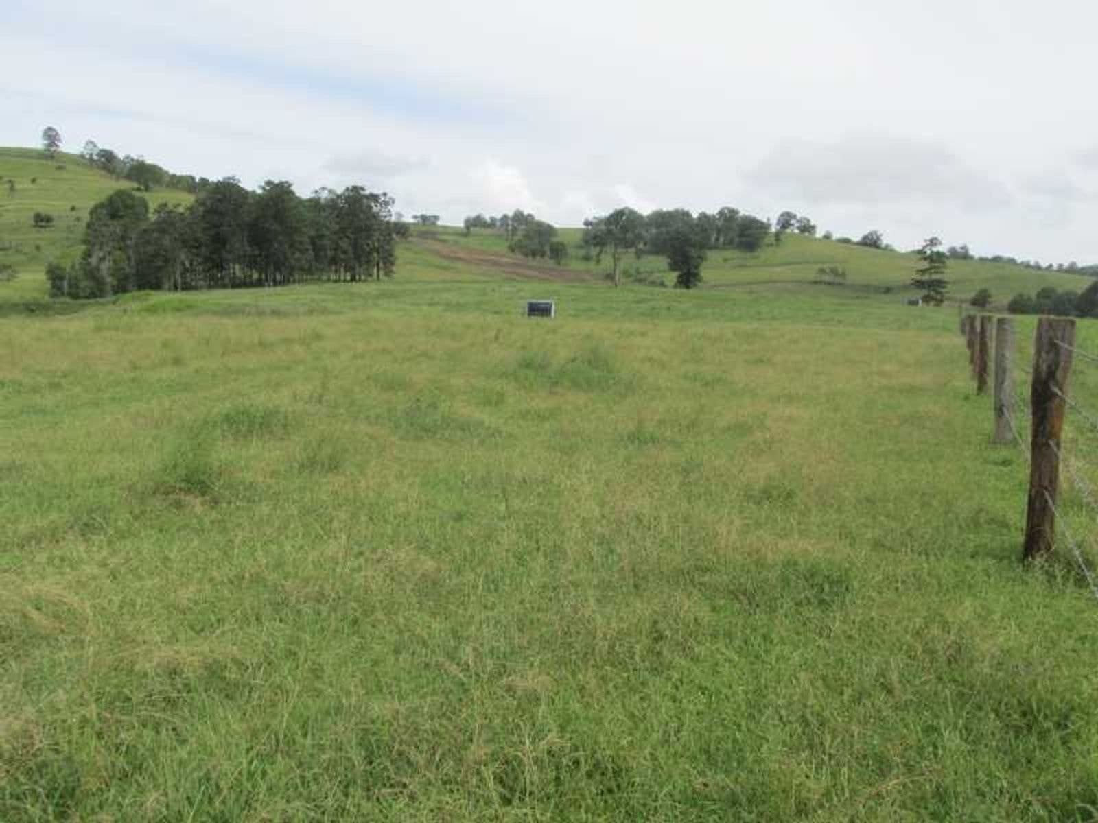 351 Numulgi Road, Numulgi - Thumbnail 4