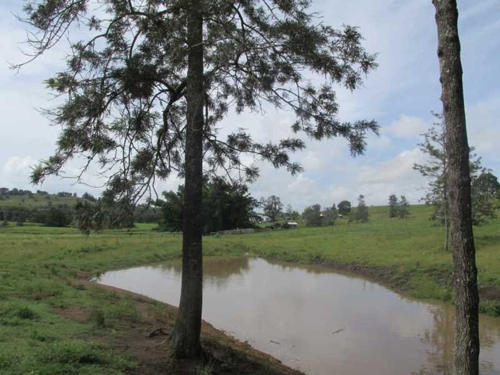 351 Numulgi Road, Numulgi - Thumbnail 5
