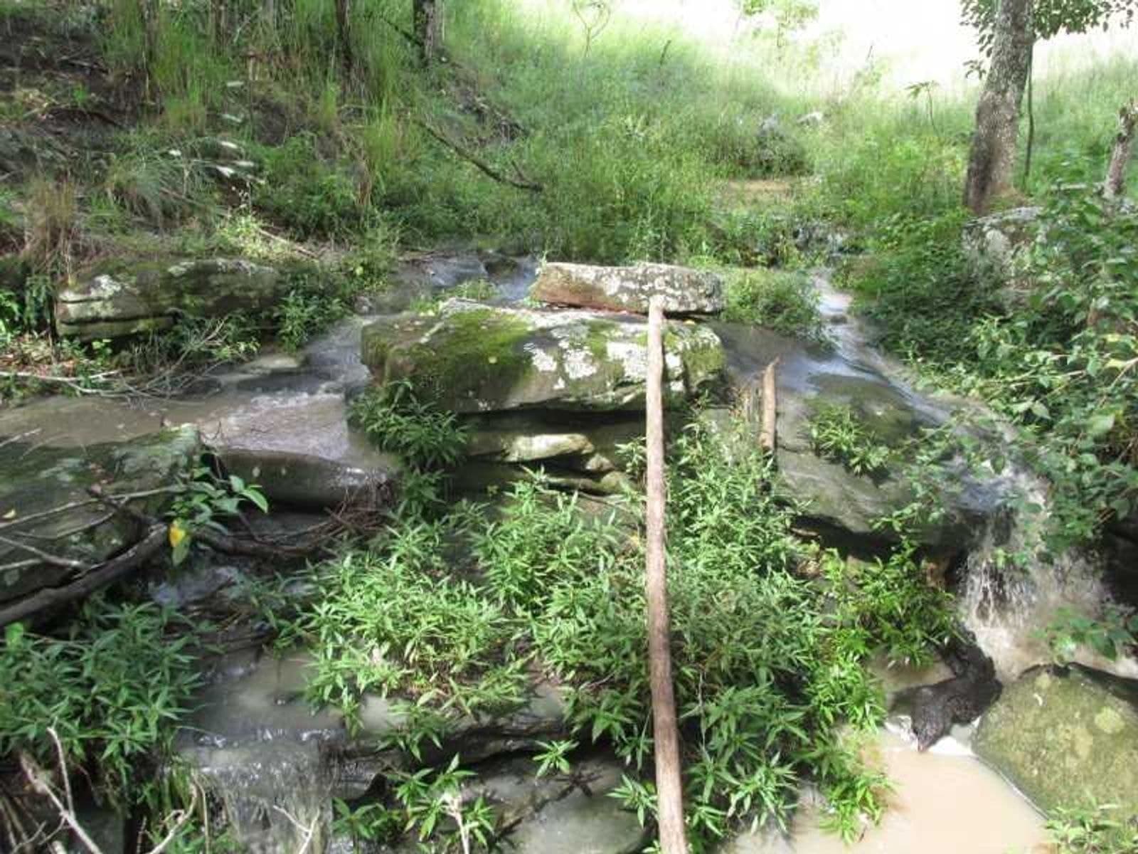 351 Numulgi Road, Numulgi - Thumbnail 6