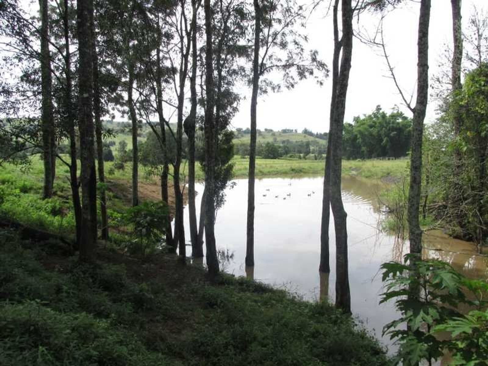 351 Numulgi Road, Numulgi - Thumbnail 7