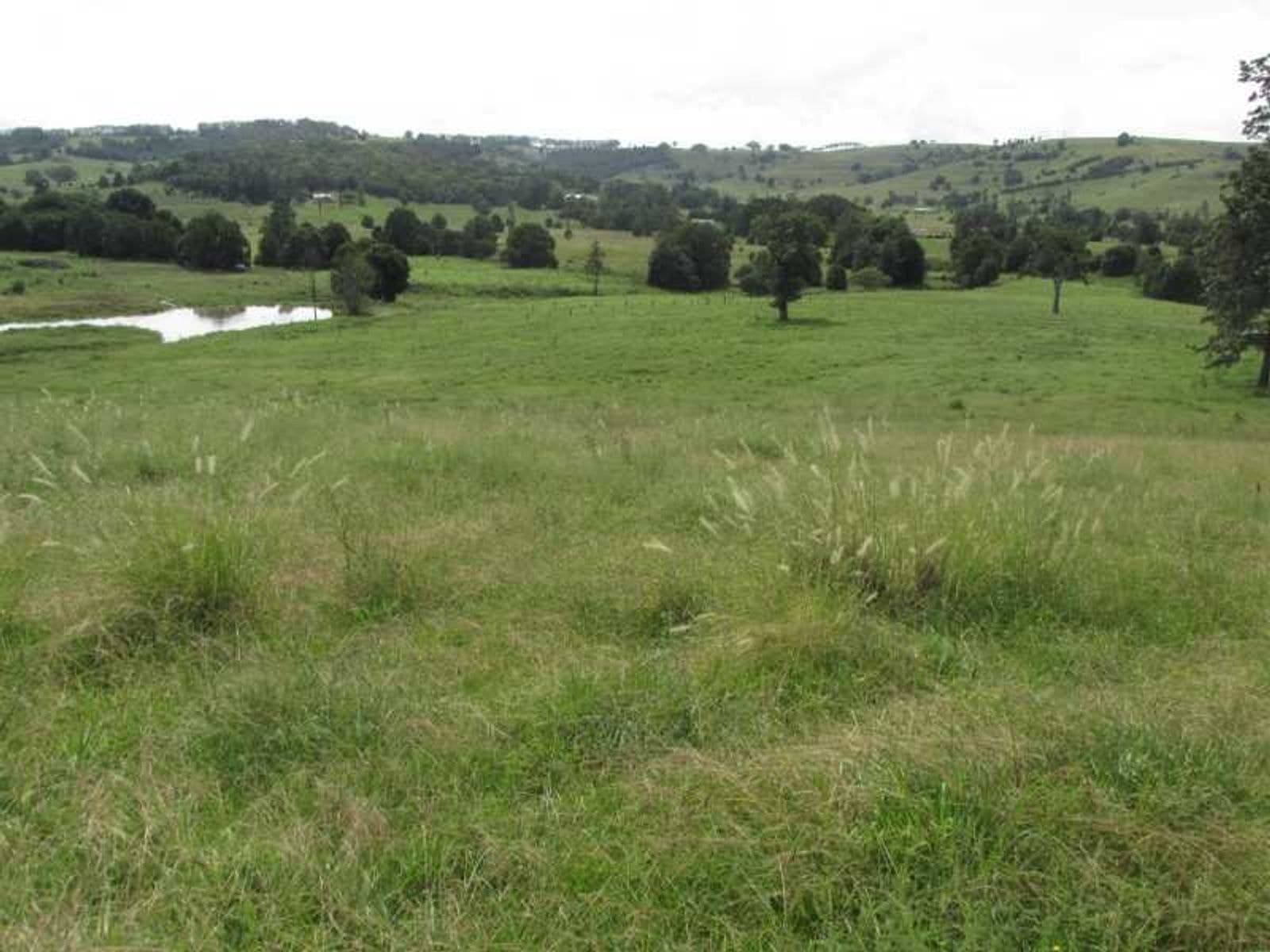 351 Numulgi Road, Numulgi - Thumbnail 8