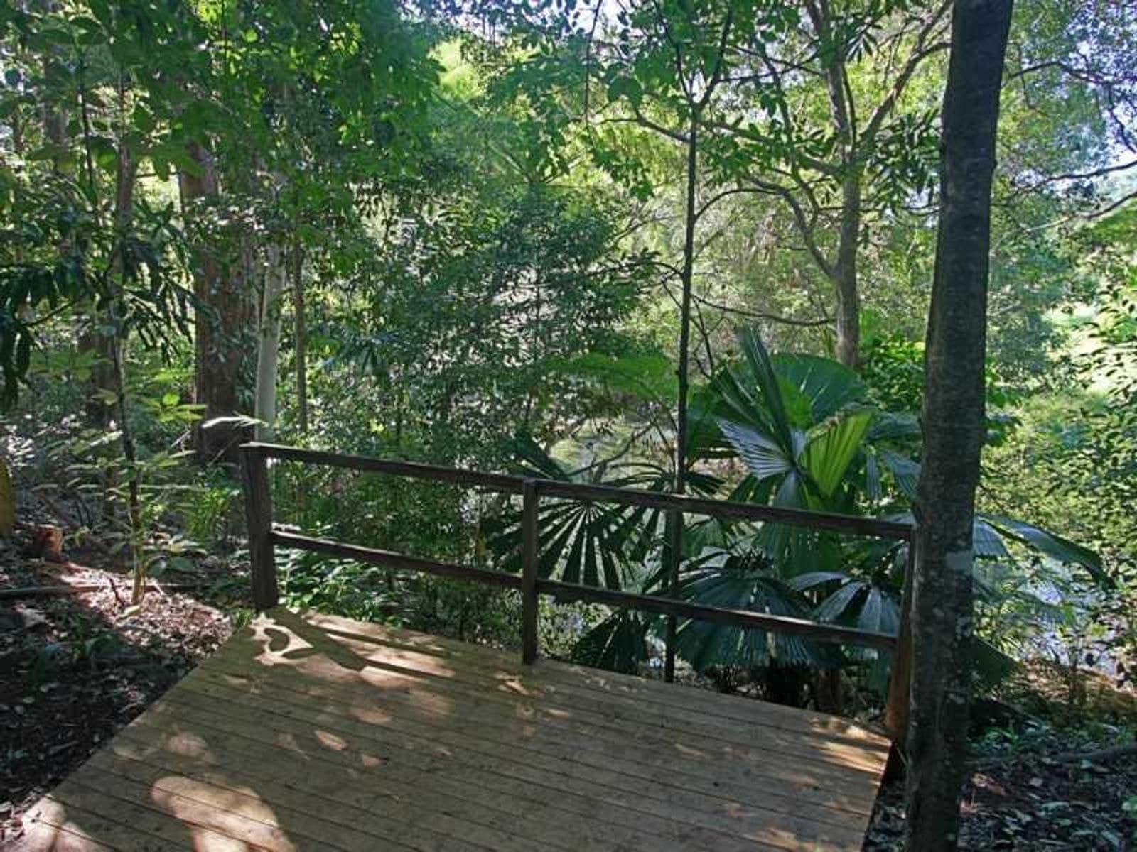3 Wright Place, Bangalow - Thumbnail 6
