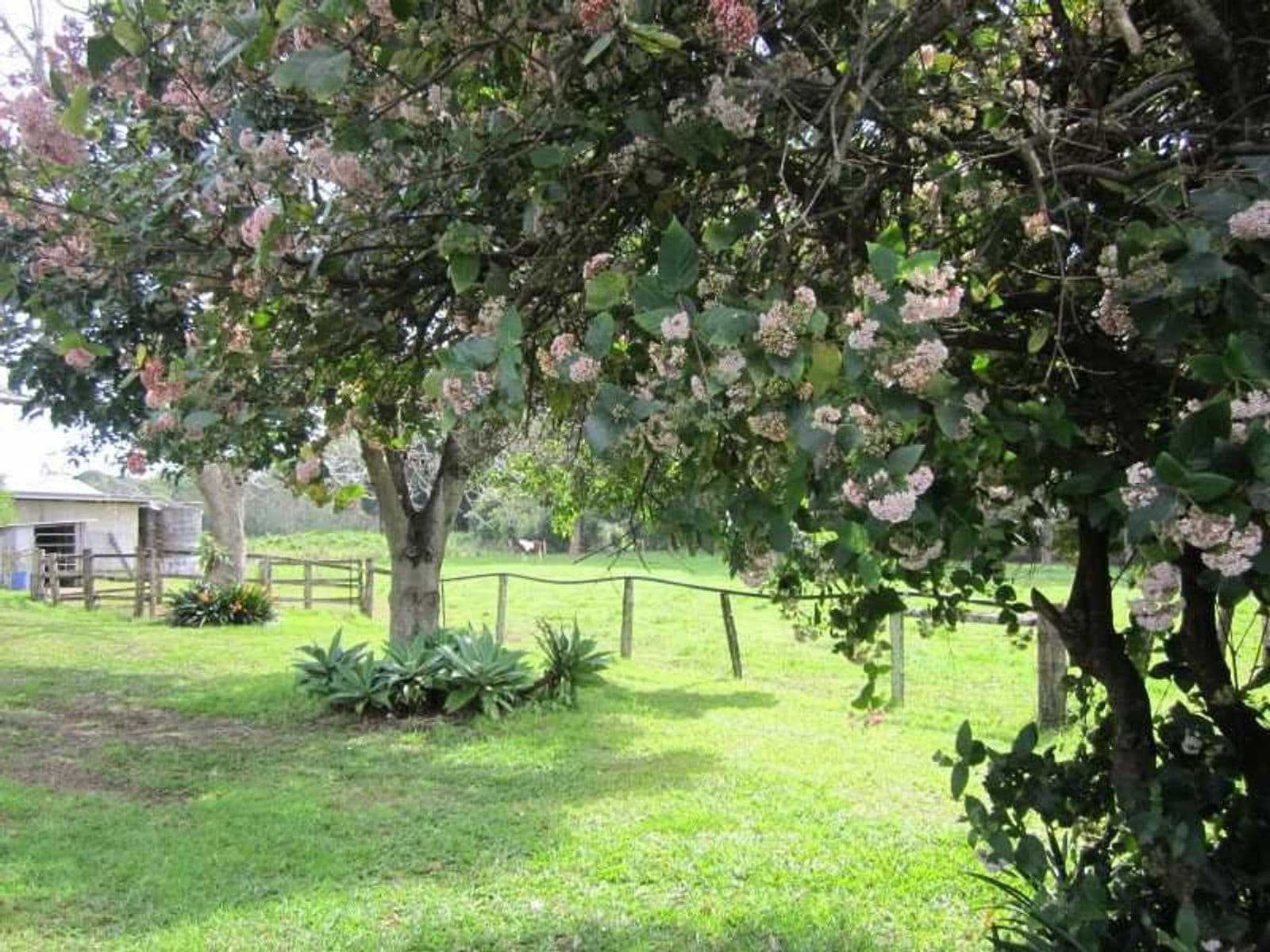 13 Thoopara Place, Orange, Orange - Thumbnail 6