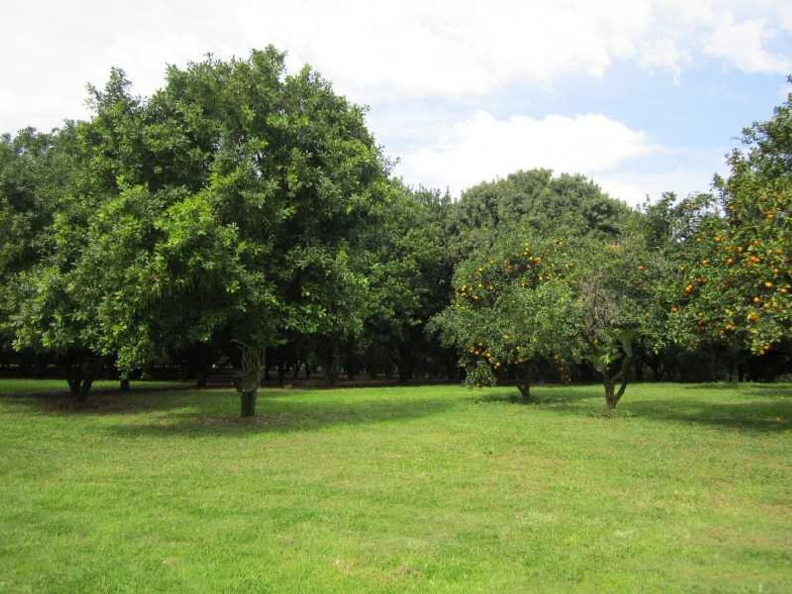 13 Thoopara Place, Orange, Orange - Thumbnail 7