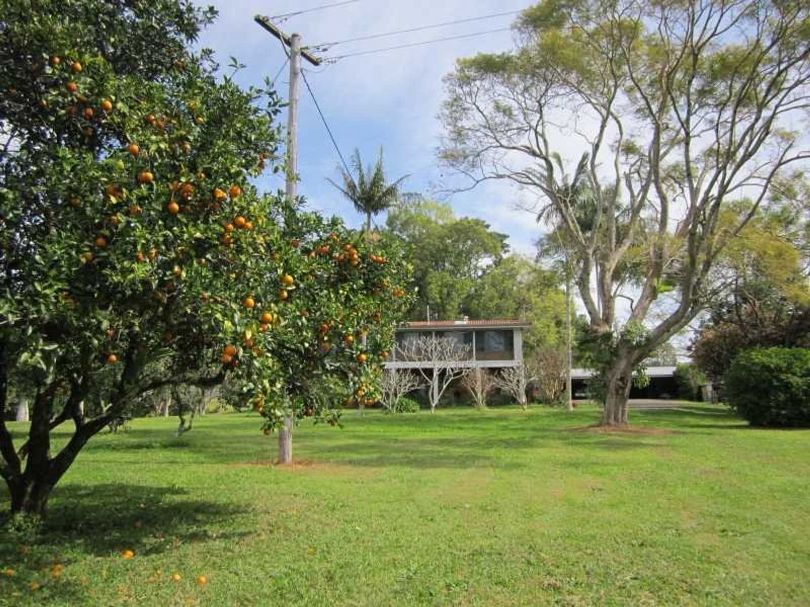 13 Thoopara Place, Orange, Orange - Thumbnail 8