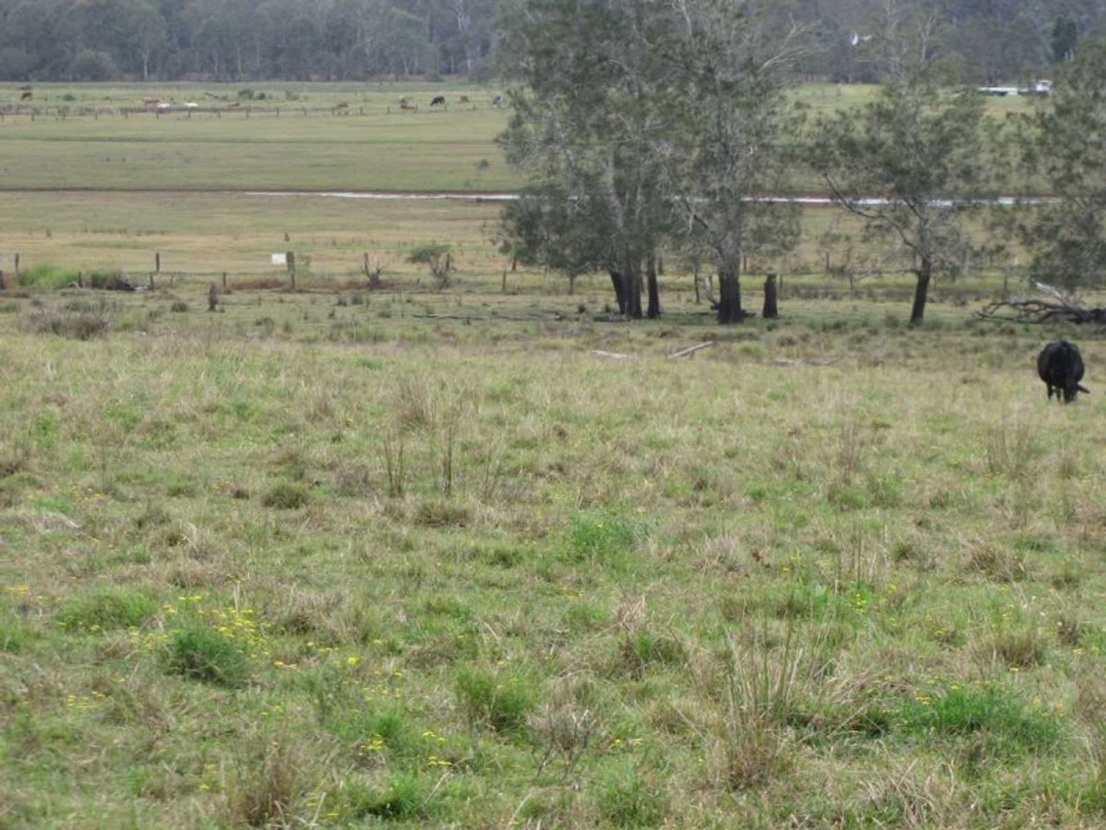 Coraki-Ellangowan Rd NSW 2469, Coraki-Ellangowan Rd - Thumbnail 4