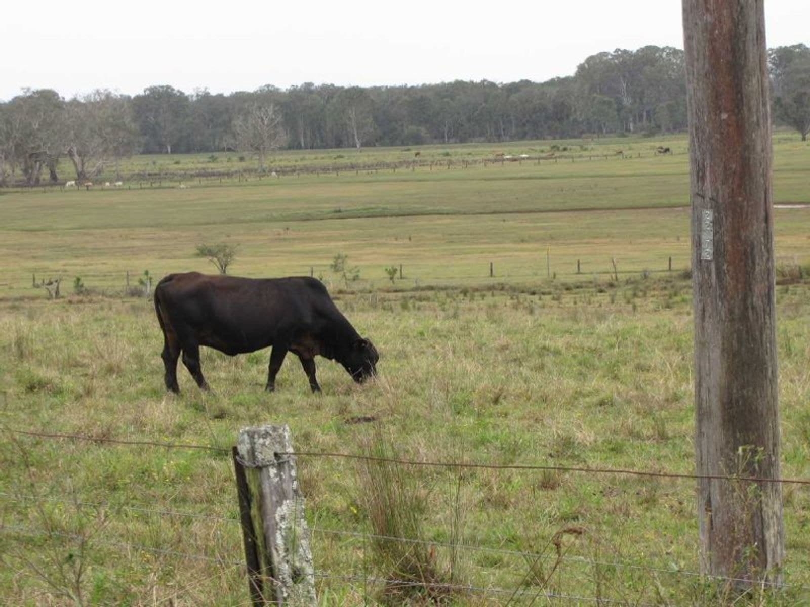 Coraki-Ellangowan Rd NSW 2469, Coraki-Ellangowan Rd - Thumbnail 5