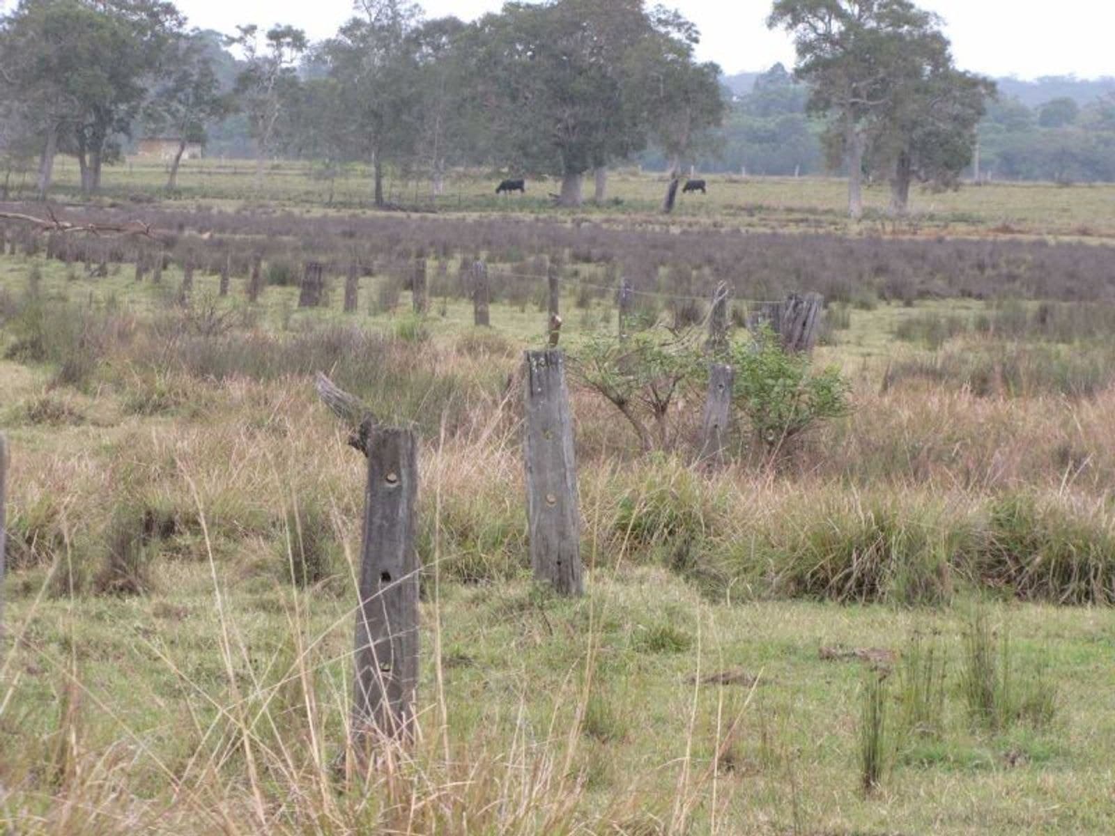 Coraki-Ellangowan Rd NSW 2469, Coraki-Ellangowan Rd - Thumbnail 6