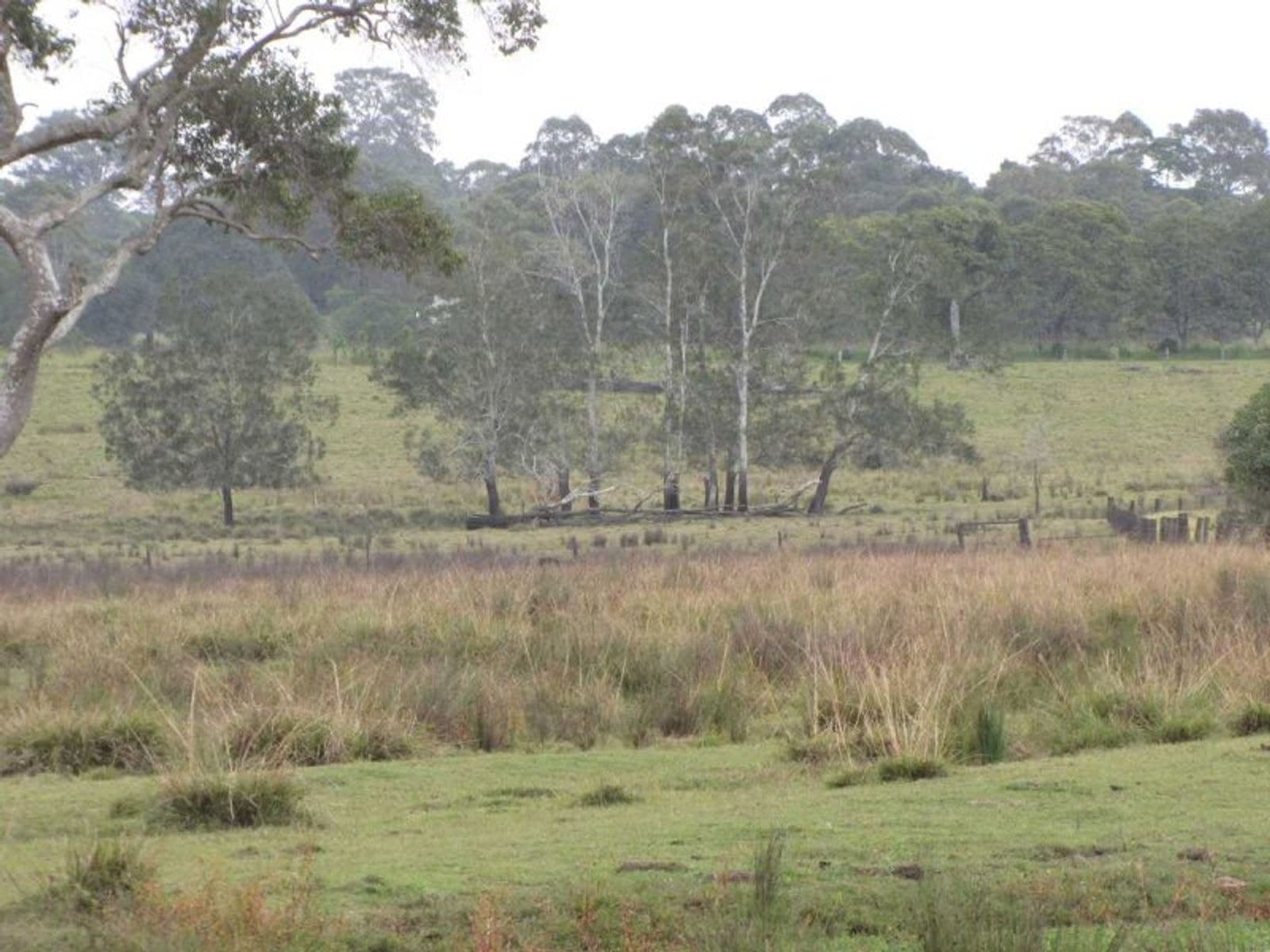 Coraki-Ellangowan Rd NSW 2469, Coraki-Ellangowan Rd - Thumbnail 7