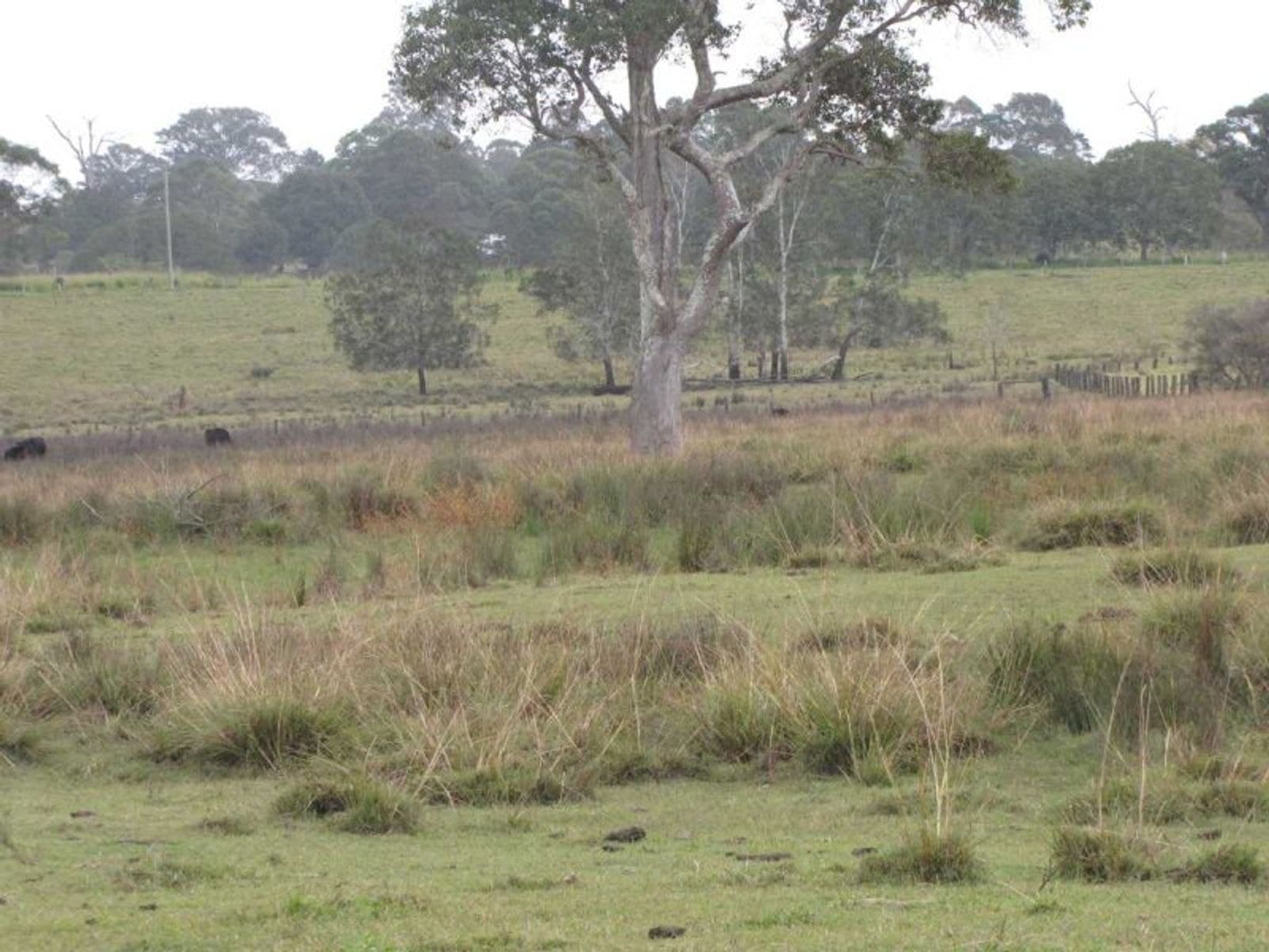 Coraki-Ellangowan Rd NSW 2469, Coraki-Ellangowan Rd - Thumbnail 8