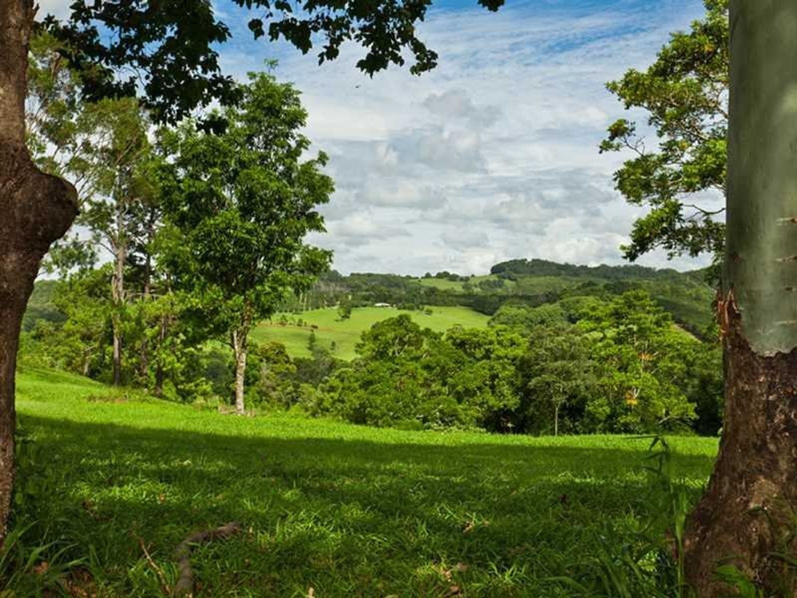 2466 Dunoon Road, Rosebank - Thumbnail 6