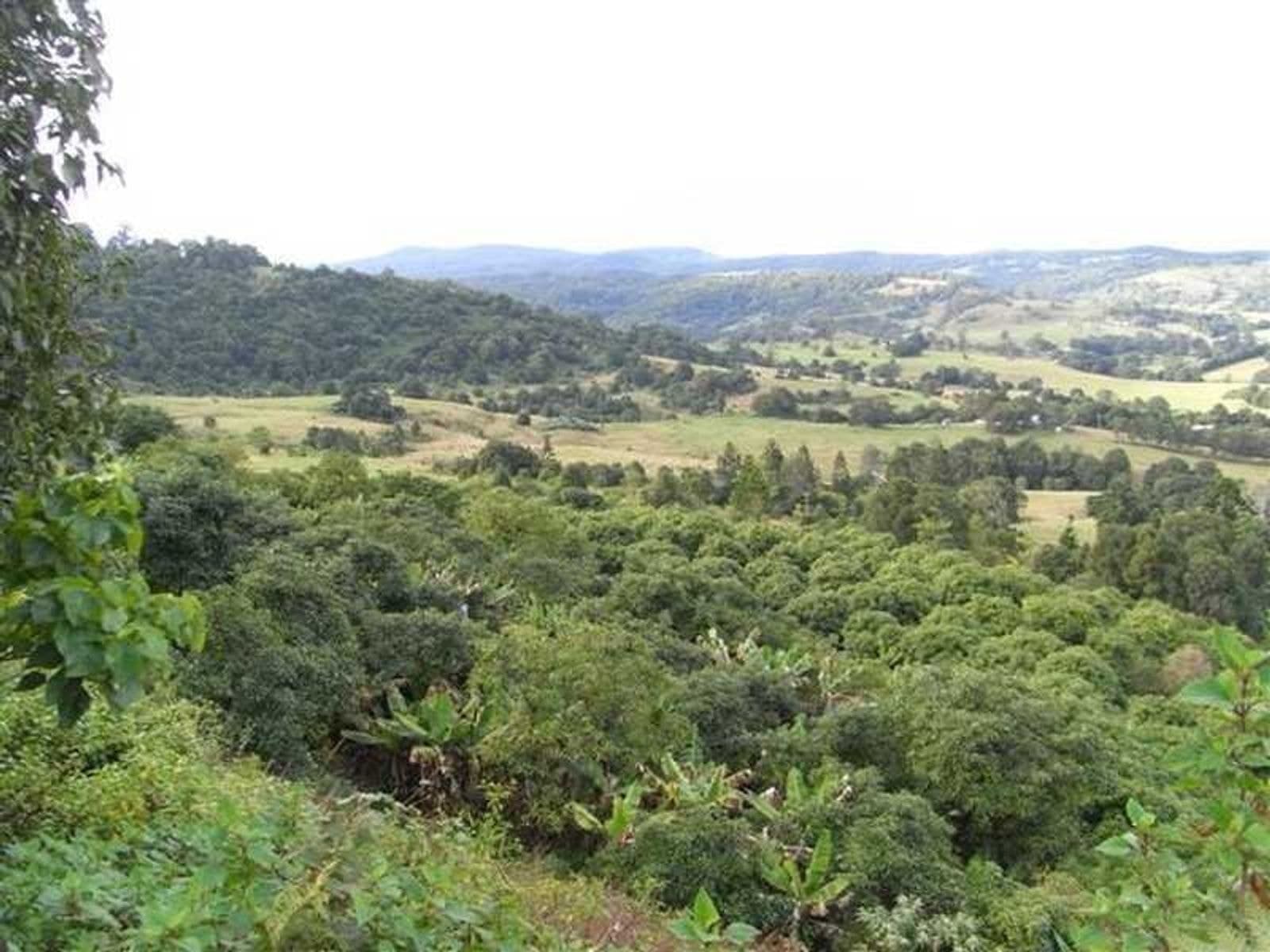 120 Wallace Road, Terania Creek - Thumbnail 4