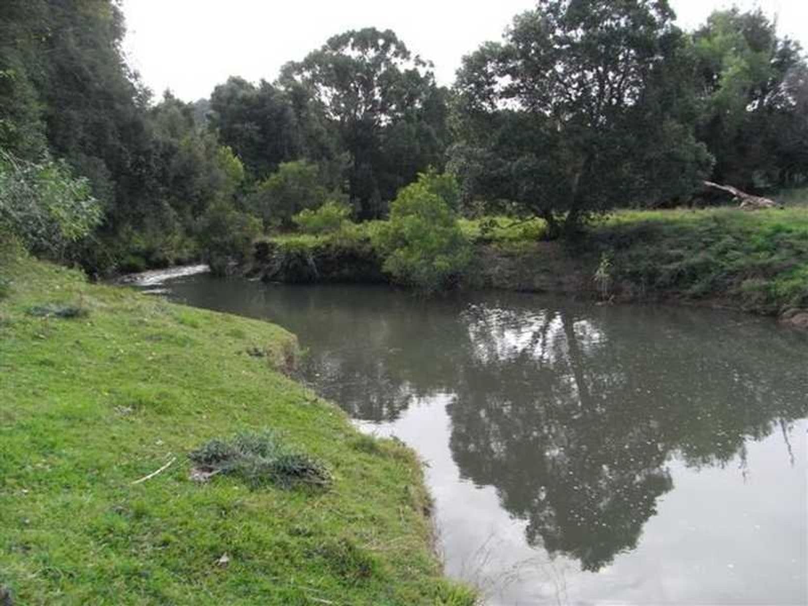 120 Wallace Road, Terania Creek - Thumbnail 5