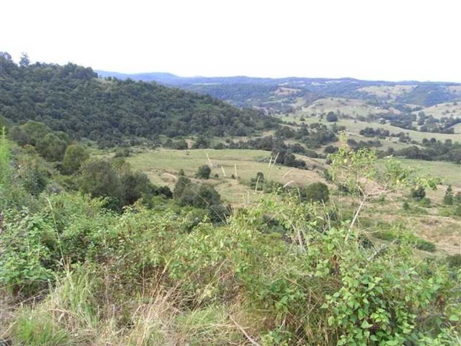 120 Wallace Road, Terania Creek - Thumbnail 6