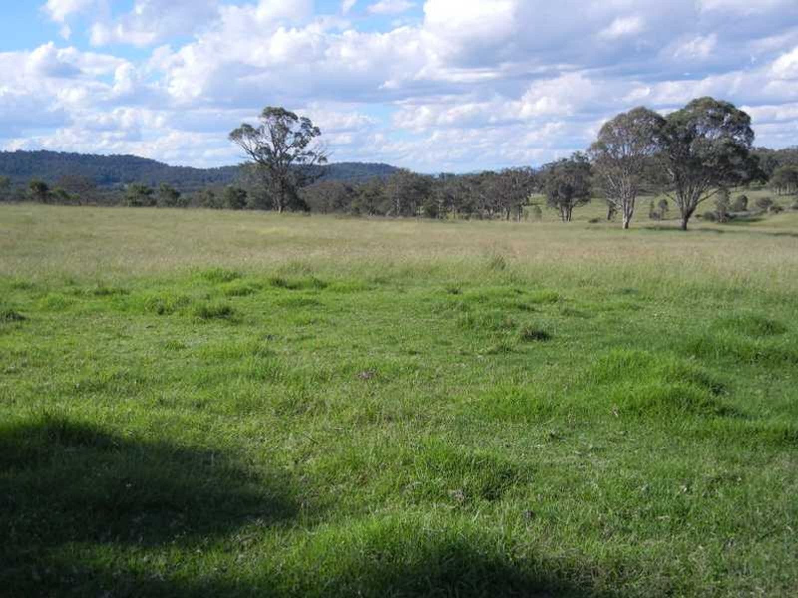 6982 Mt Lindesay Road  Wylie Creek, Warwick - Thumbnail 4
