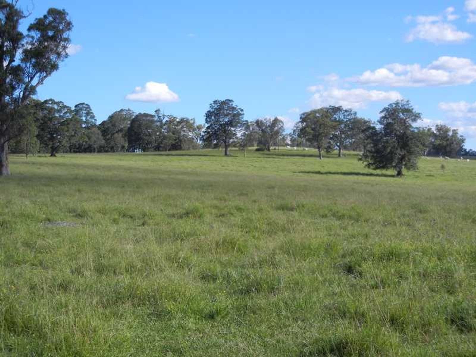 6982 Mt Lindesay Road  Wylie Creek, Warwick - Thumbnail 5