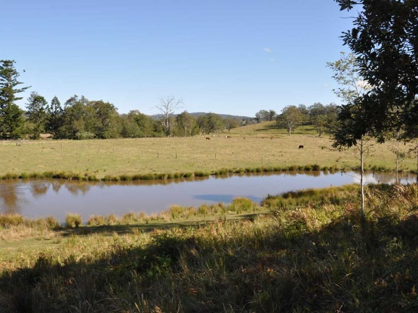 6 Hiscockes Rd, Theresa Creek - Thumbnail 4