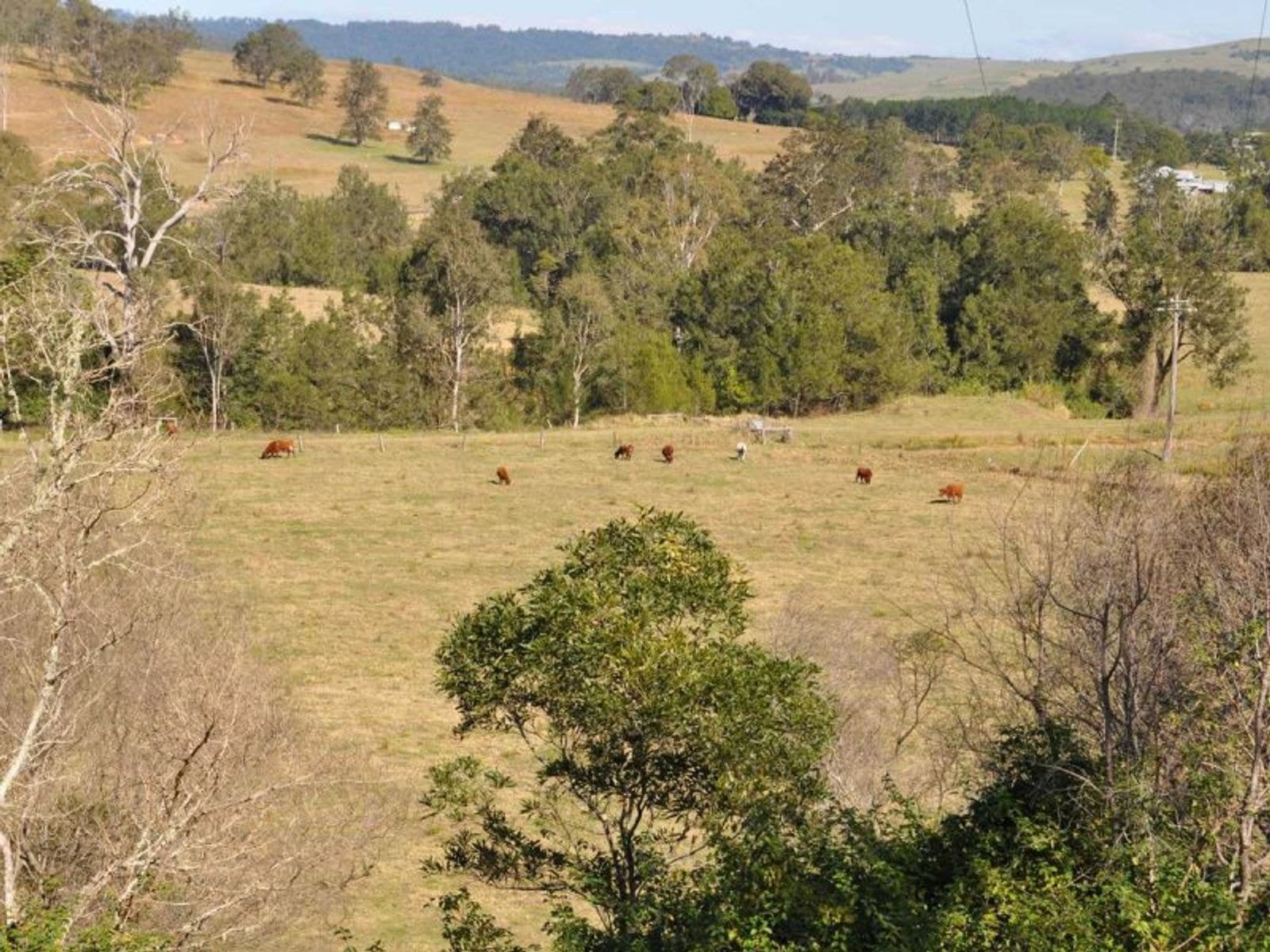 6 Hiscockes Rd, Theresa Creek - Thumbnail 7