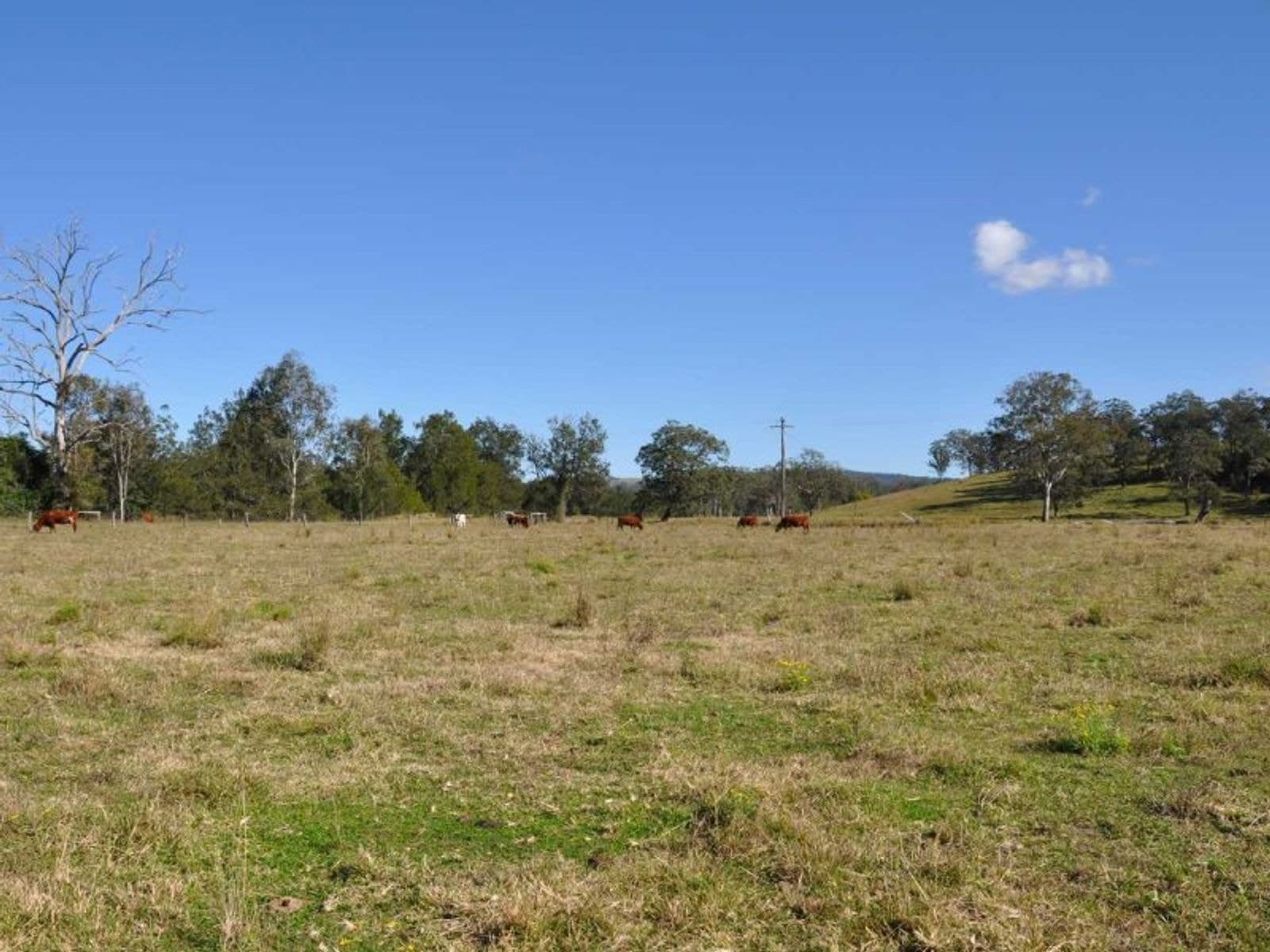 6 Hiscockes Rd, Theresa Creek - Thumbnail 8
