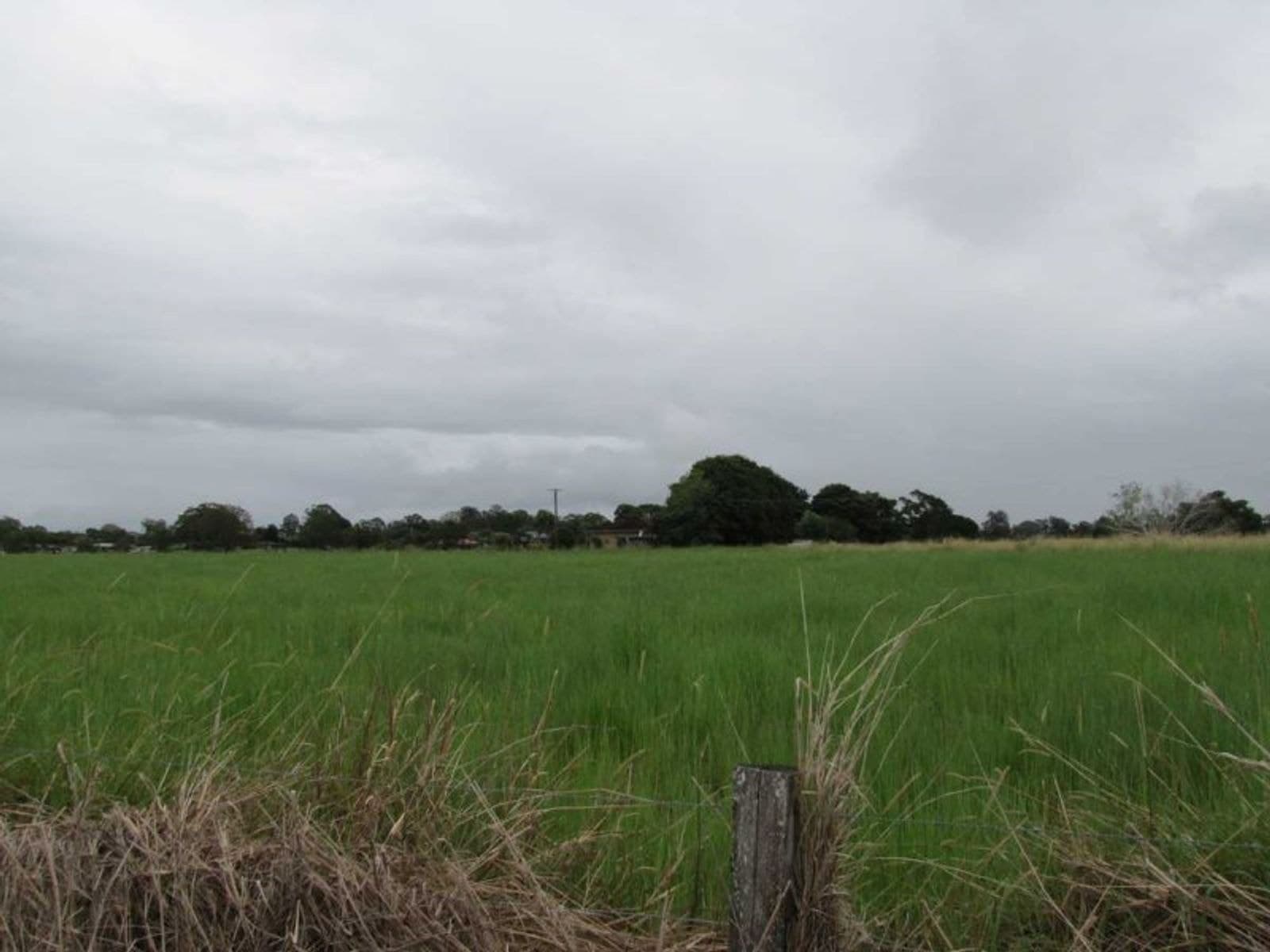 6 Sextonville Rd, Casino - Thumbnail 4