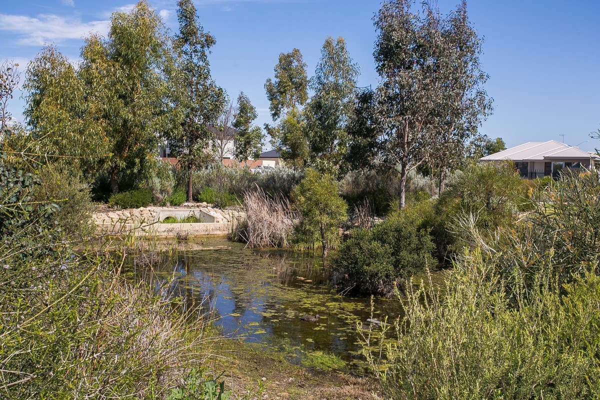 40 Addington Loop, Piara Waters, WA, Piara Waters - Thumbnail 2