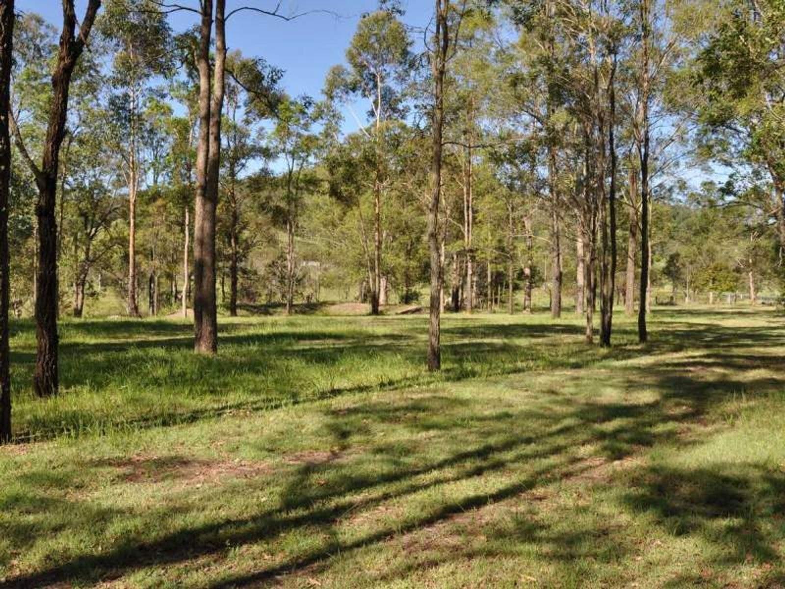 665 Naughtons Gap Rd, Lismore - Thumbnail 4