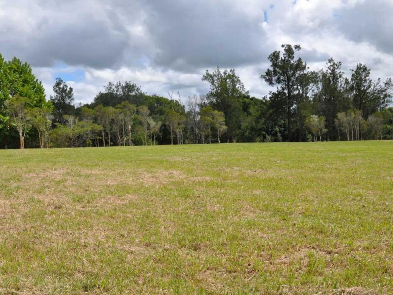 Lot 1 Lot 1 Dyraaba Road, Dyraaba - Thumbnail 4