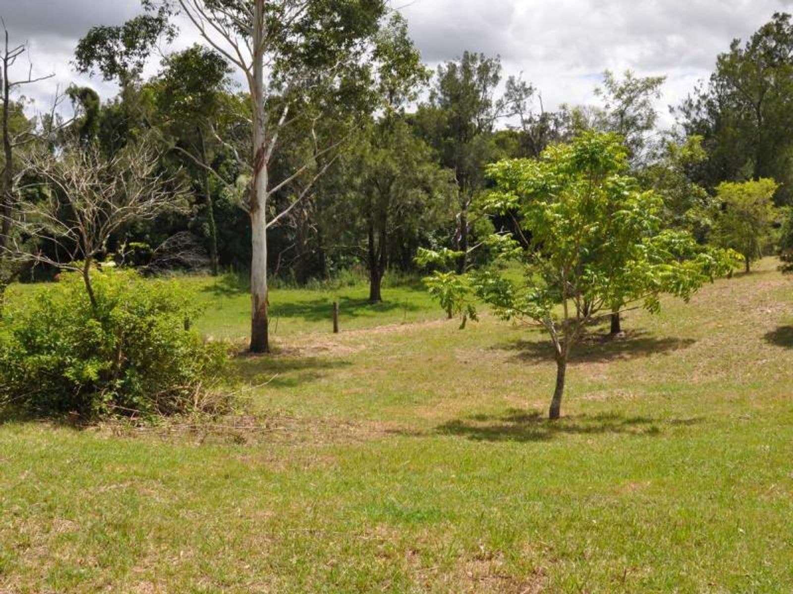 Lot 1 Lot 1 Dyraaba Road, Dyraaba - Thumbnail 6