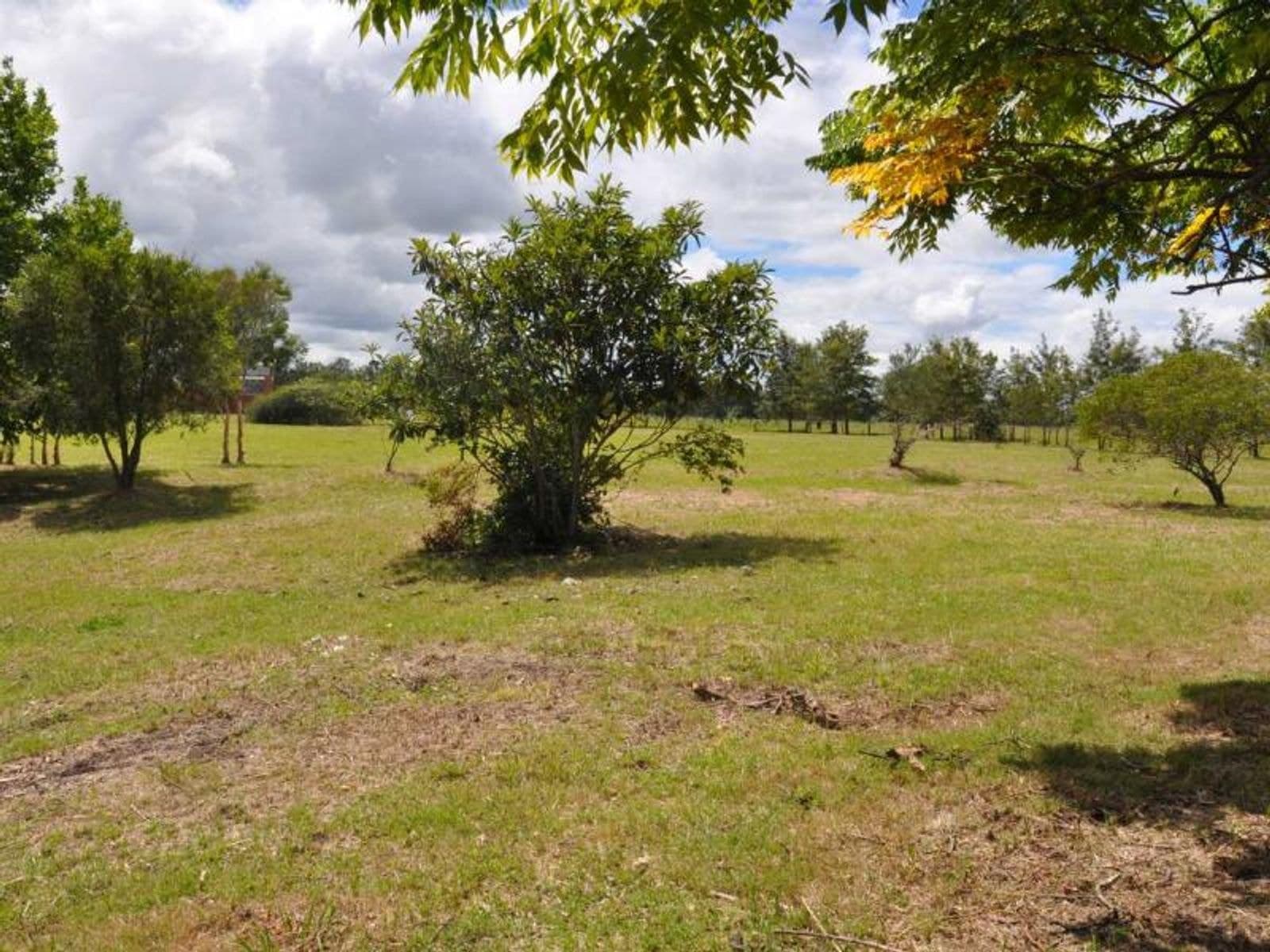 Lot 1 Lot 1 Dyraaba Road, Dyraaba - Thumbnail 7